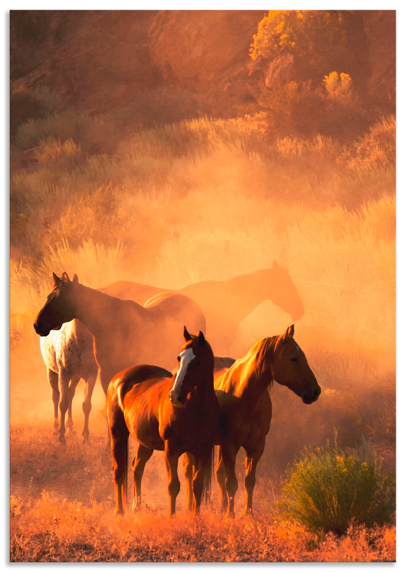 Image of Artland Wandbild »Friedliche Versammlung - Pferde«, Haustiere, (1 St.), in vielen Grössen & Produktarten - Alubild / Outdoorbild für den Aussenbereich, Leinwandbild, Poster, Wandaufkleber / Wandtattoo auch für Badezimmer geeignet bei Ackermann Versand Sch