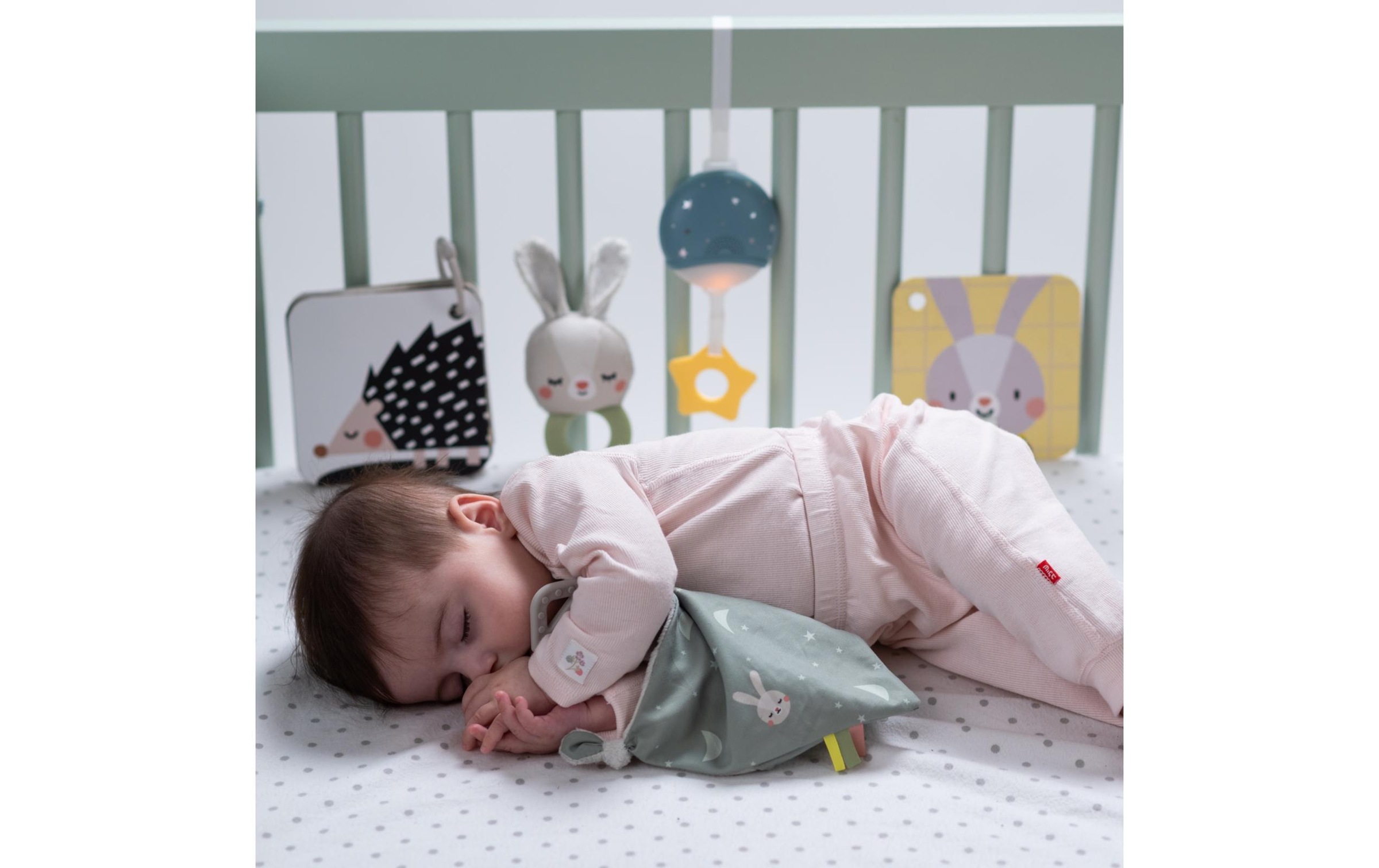 TAF TOYS Lernspielzeug »Hello Baby 0M+«