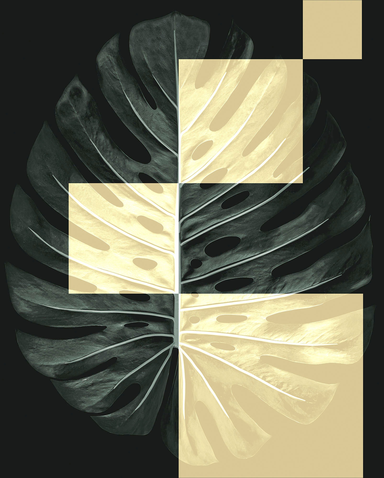 Image of Komar Wandbild »Monstera Theatre«, (1 St.), Deutsches Premium-Poster Fotopapier mit seidenmatter Oberfläche und hoher Lichtbeständigkeit. Für fotorealistische Drucke mit gestochen scharfen Details und hervorragender Farbbrillanz. bei Ackermann Versand Sch