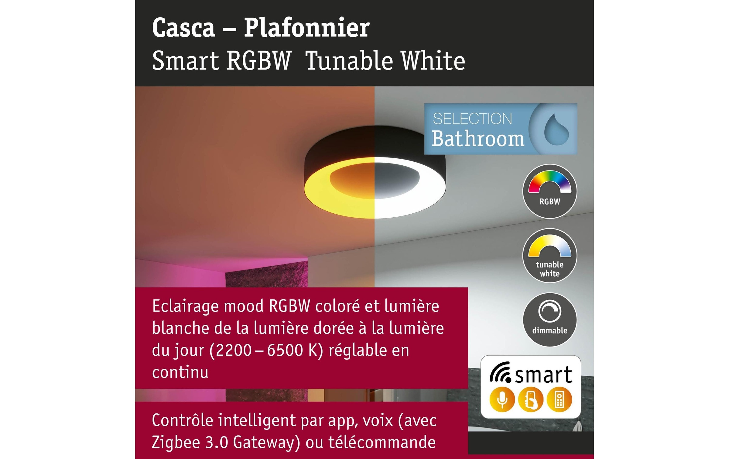 Paulmann 75416 Plafonnier LED 20 W noir (mat)