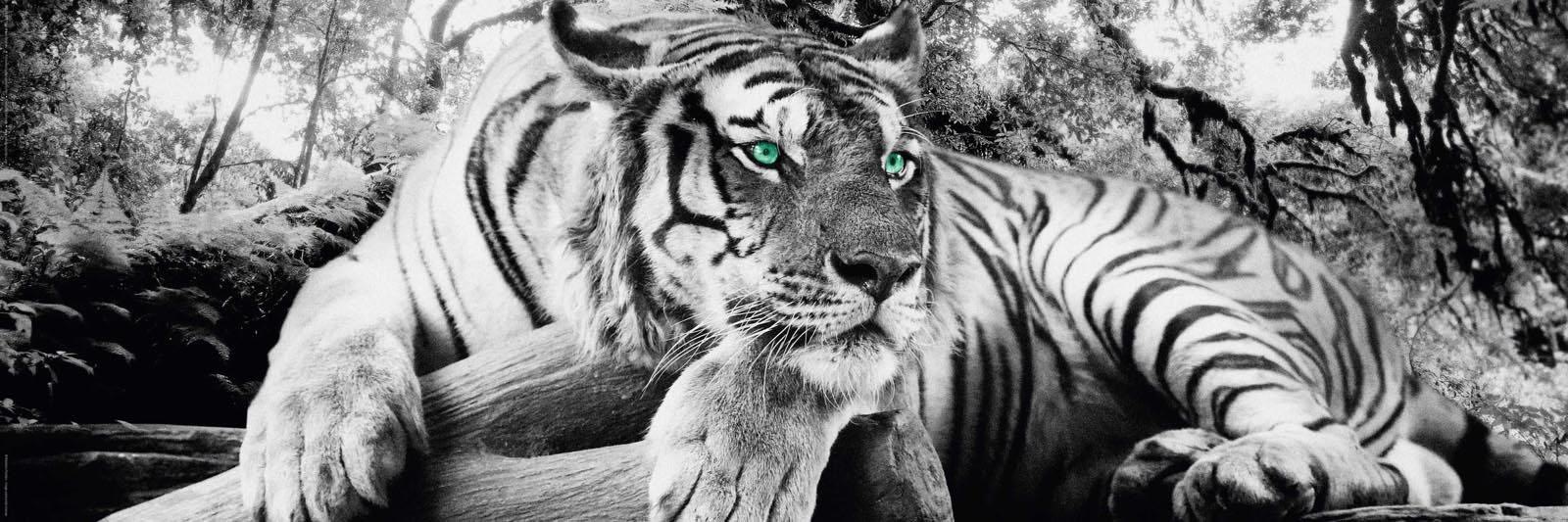 GOODproduct Deco-Panel "Tiger guckt dich an"