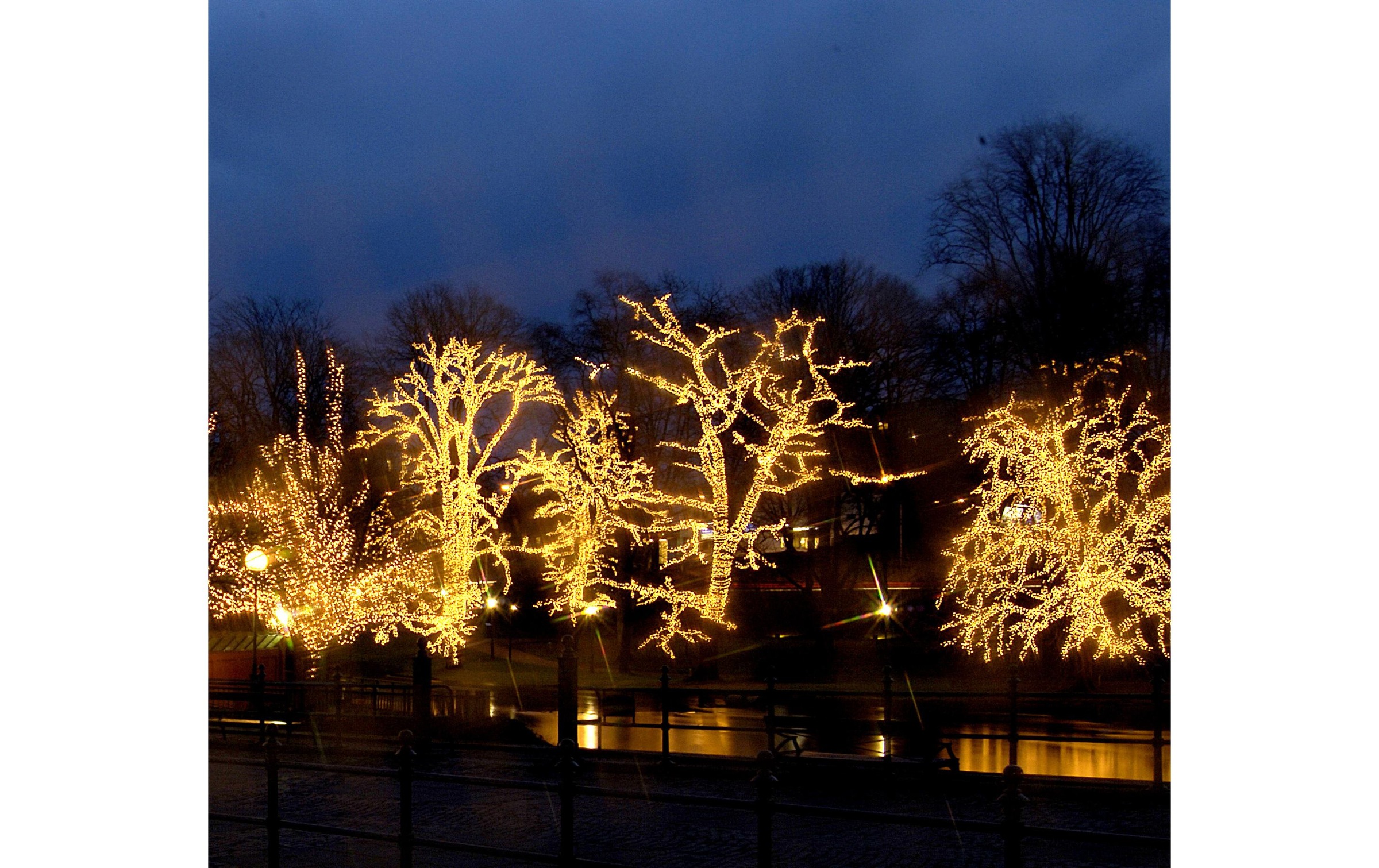 Parforce Traditional Hunting Guirlande lumineuse »LED Extra Icicle, 200 x 100 cm«