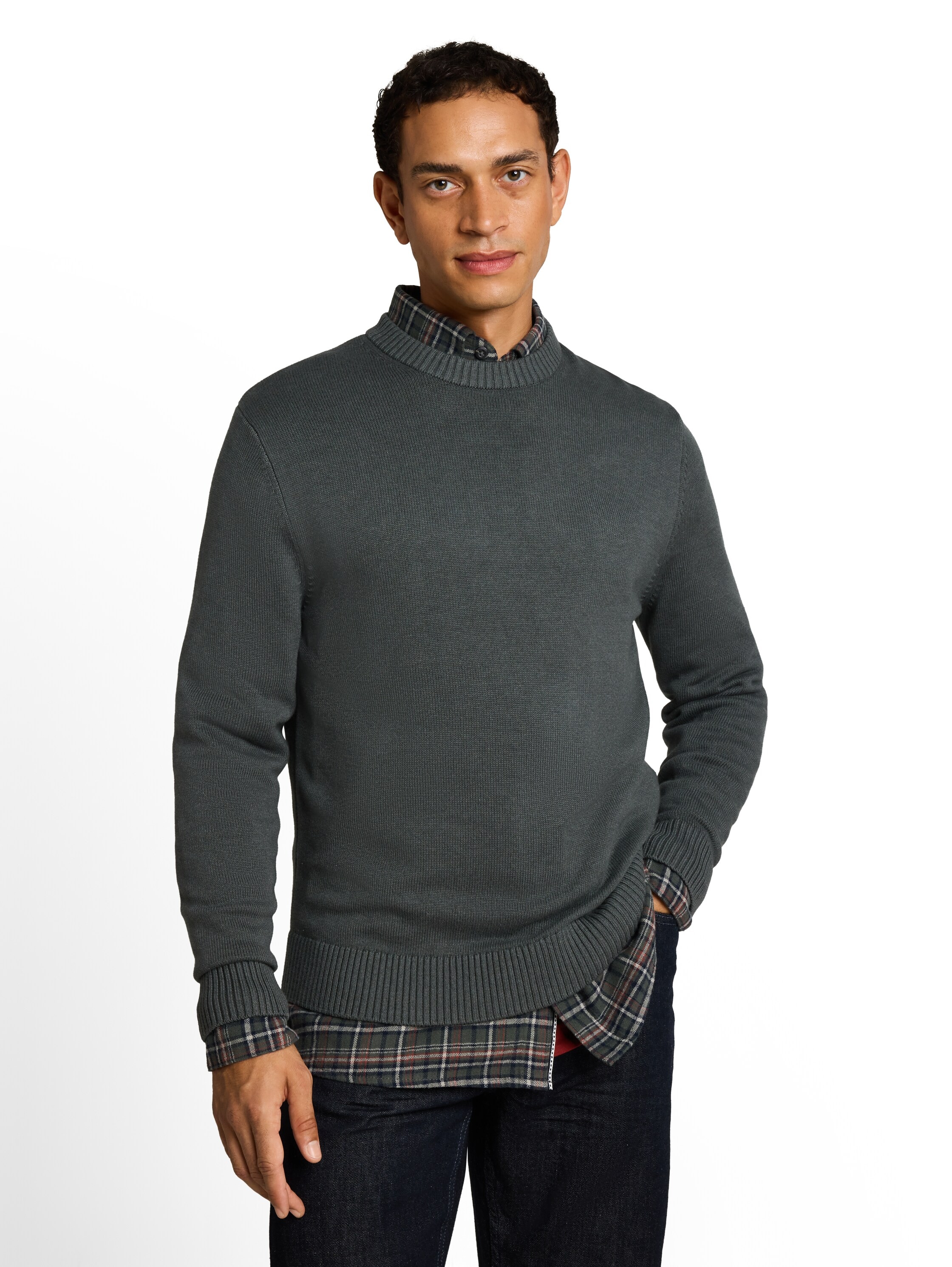 Image of TOM TAILOR Strickpullover mit Rundhals / Baumwolle