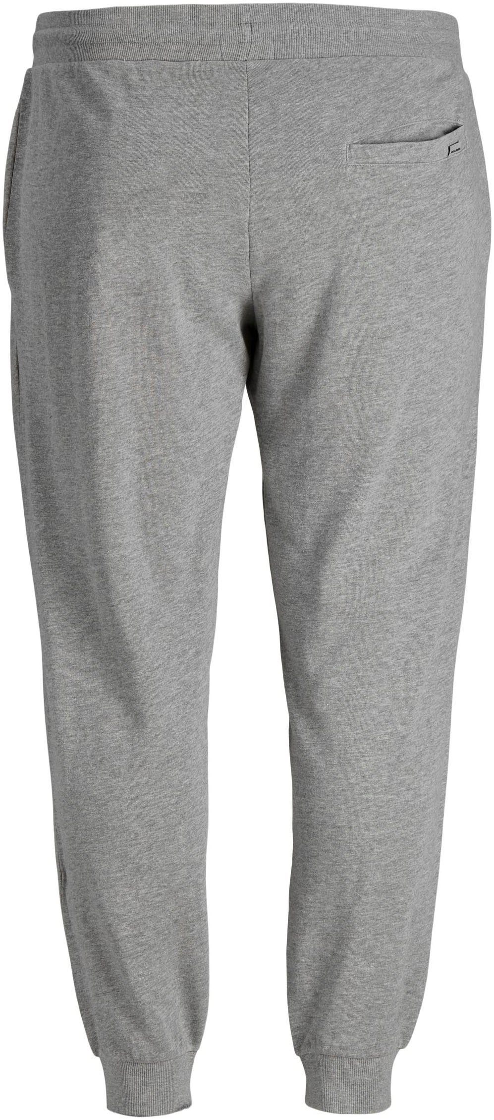 Jack & Jones PlusSize Sweathose »JPSTGORDON JJSHARK SW PANT AT NOOS PLS«