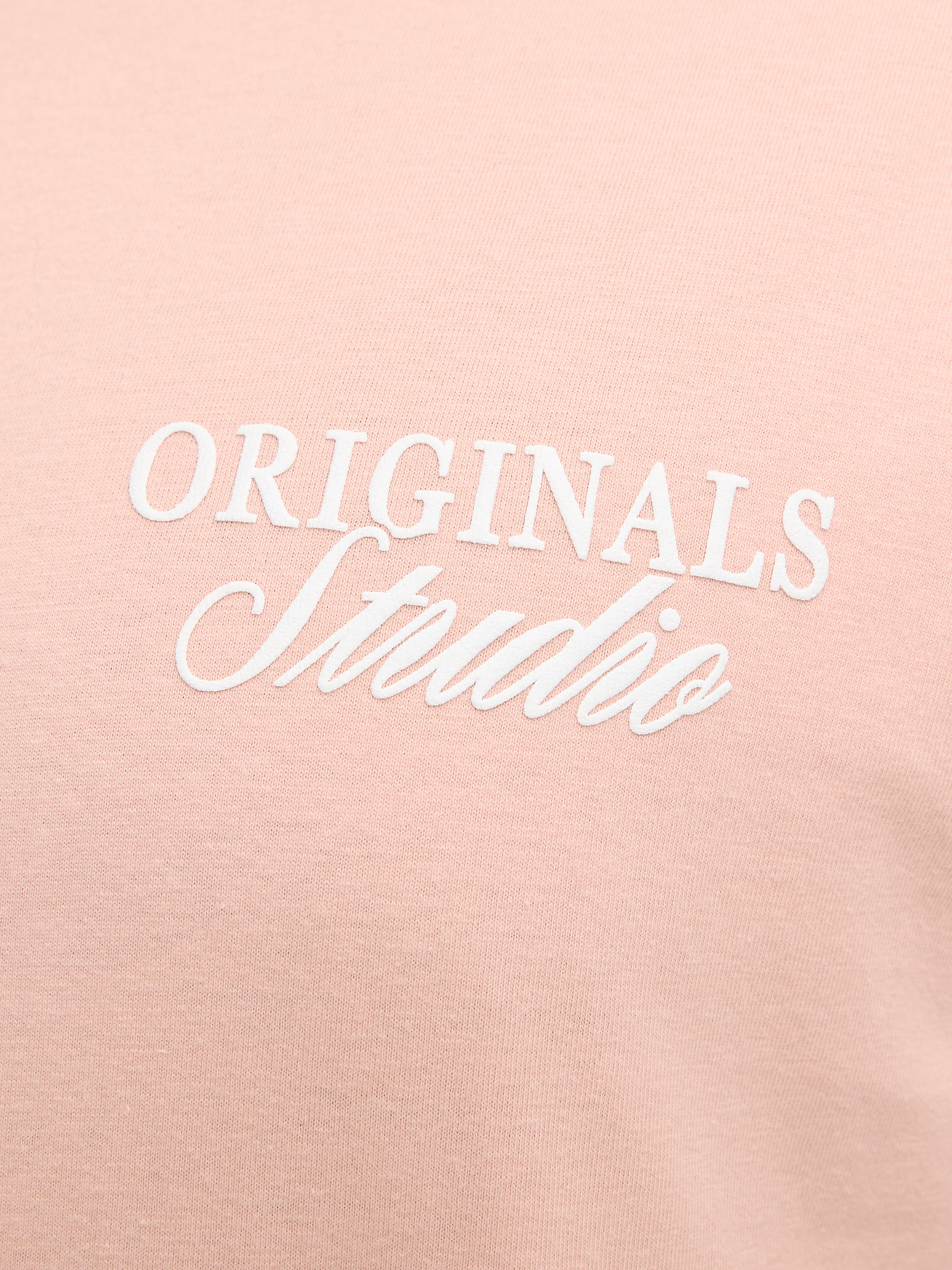 Jack & Jones PlusSize Kurzarmshirt »JORNORREBRO TYPO TEE SS CREW NECK  PLS« Baumwolle, regular fit