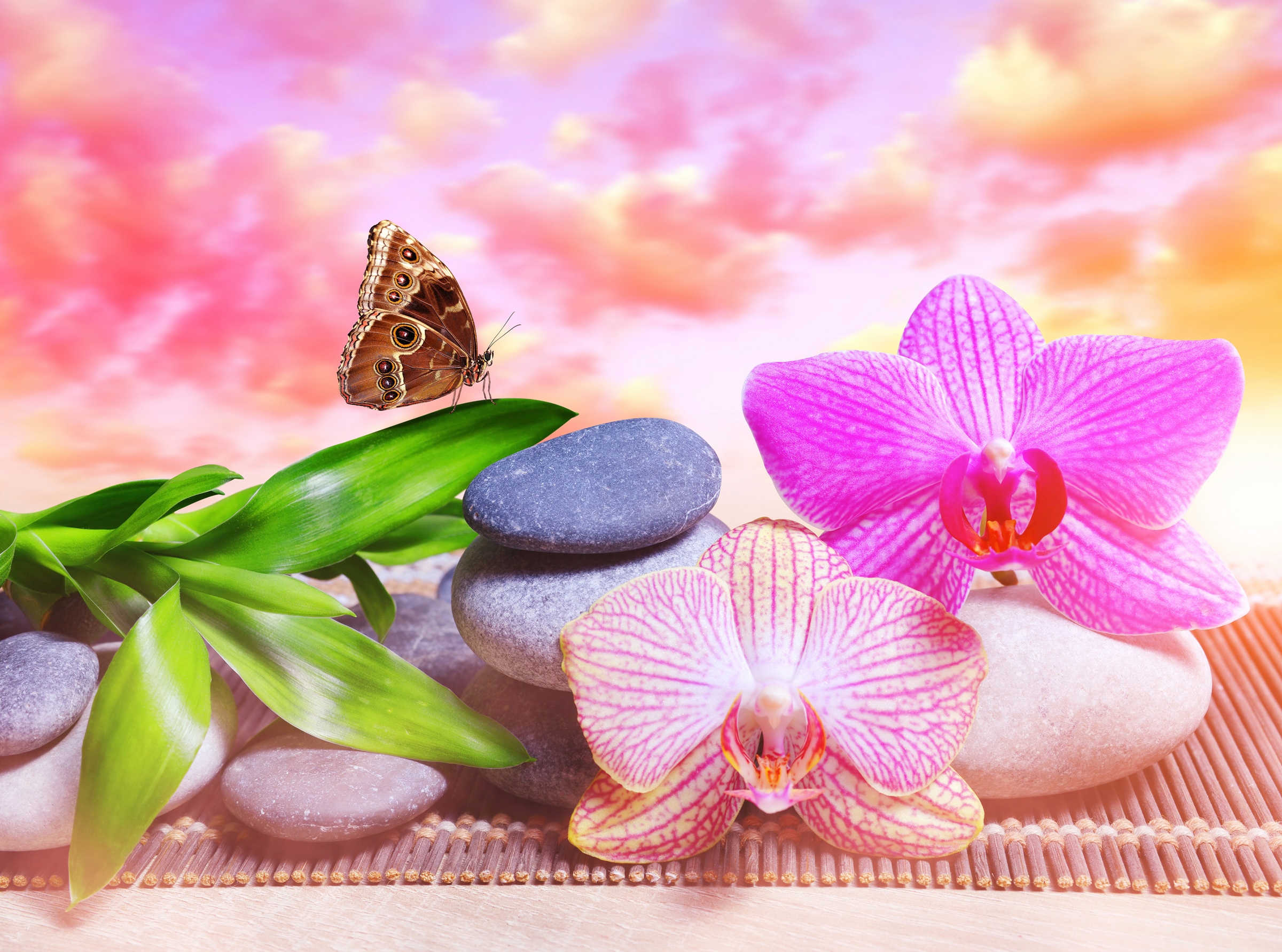 Image of Papermoon Fototapete "BLUMEN ABSTRAKT-MUSTER DESIGN SCHMETTERLING BLUME ZEN"
