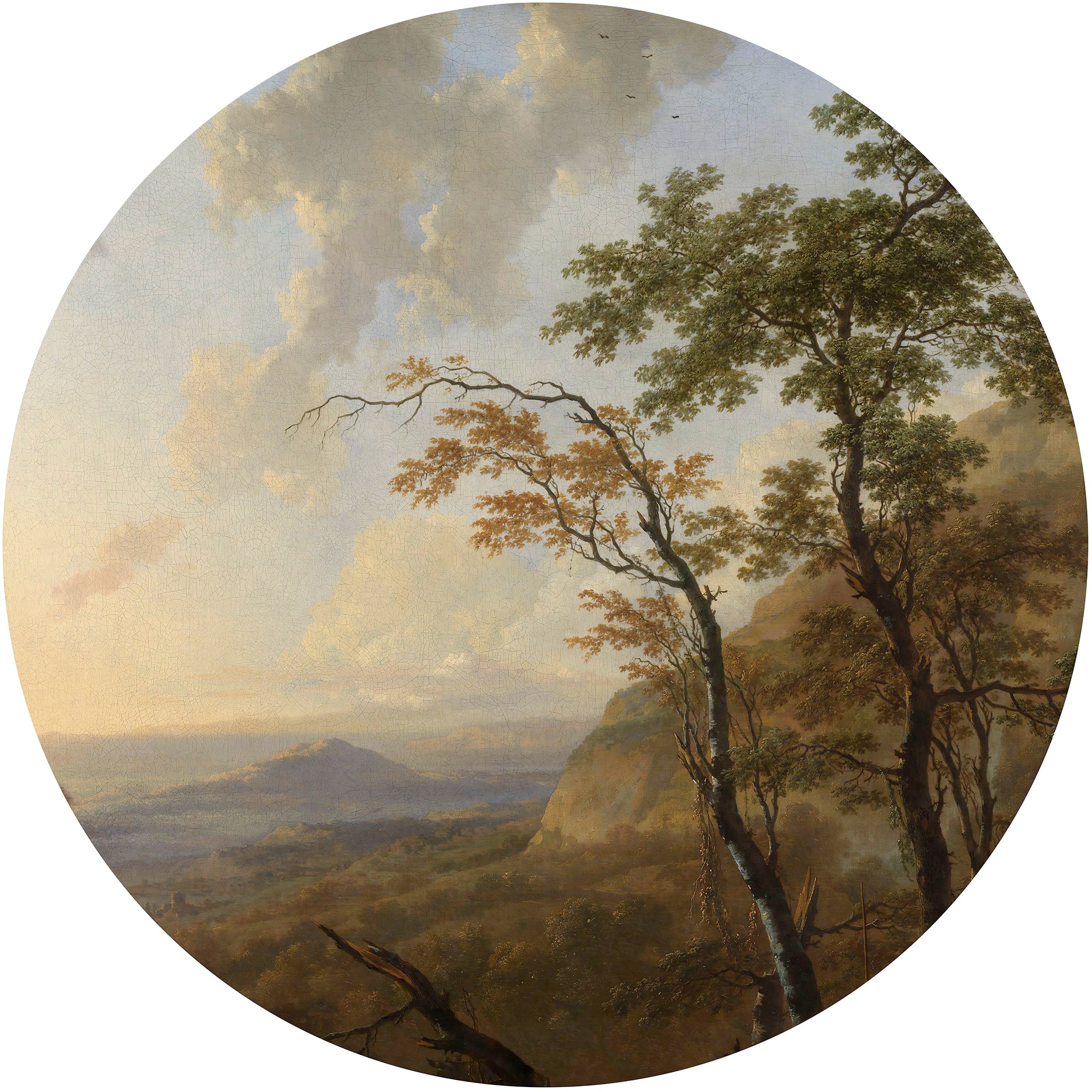 Image of Komar Vliestapete »Horizon«, abstrakt-botanisch bei Ackermann Versand Schweiz