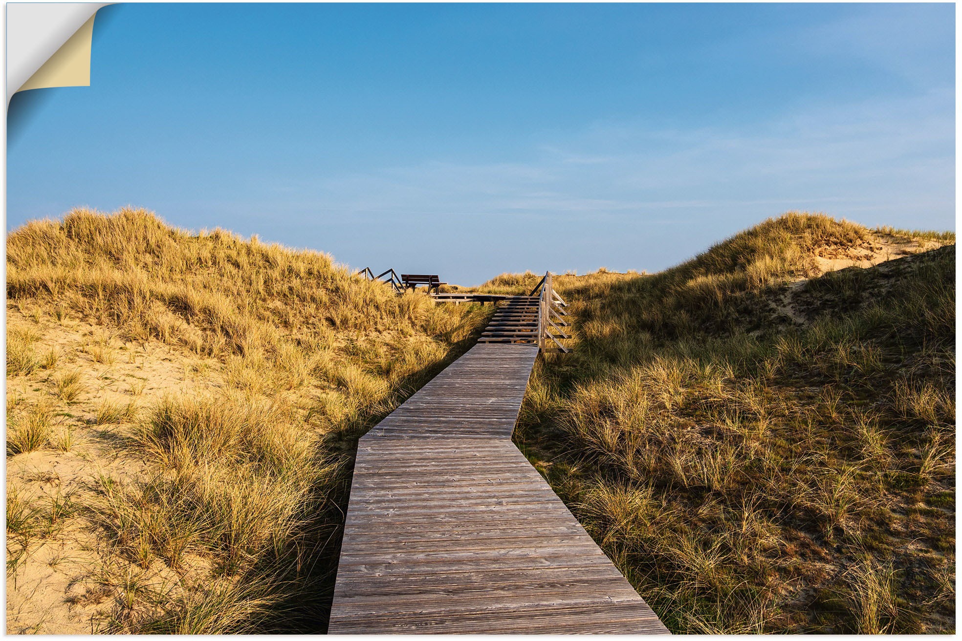 Image of Artland Wandbild »Dünen bei Norddorf auf der Insel Amrum«, Küstenbilder, (1 St.), in vielen Grössen & Produktarten - Alubild / Outdoorbild für den Aussenbereich, Leinwandbild, Poster, Wandaufkleber / Wandtattoo auch für Badezimmer geeignet bei Ackermann V
