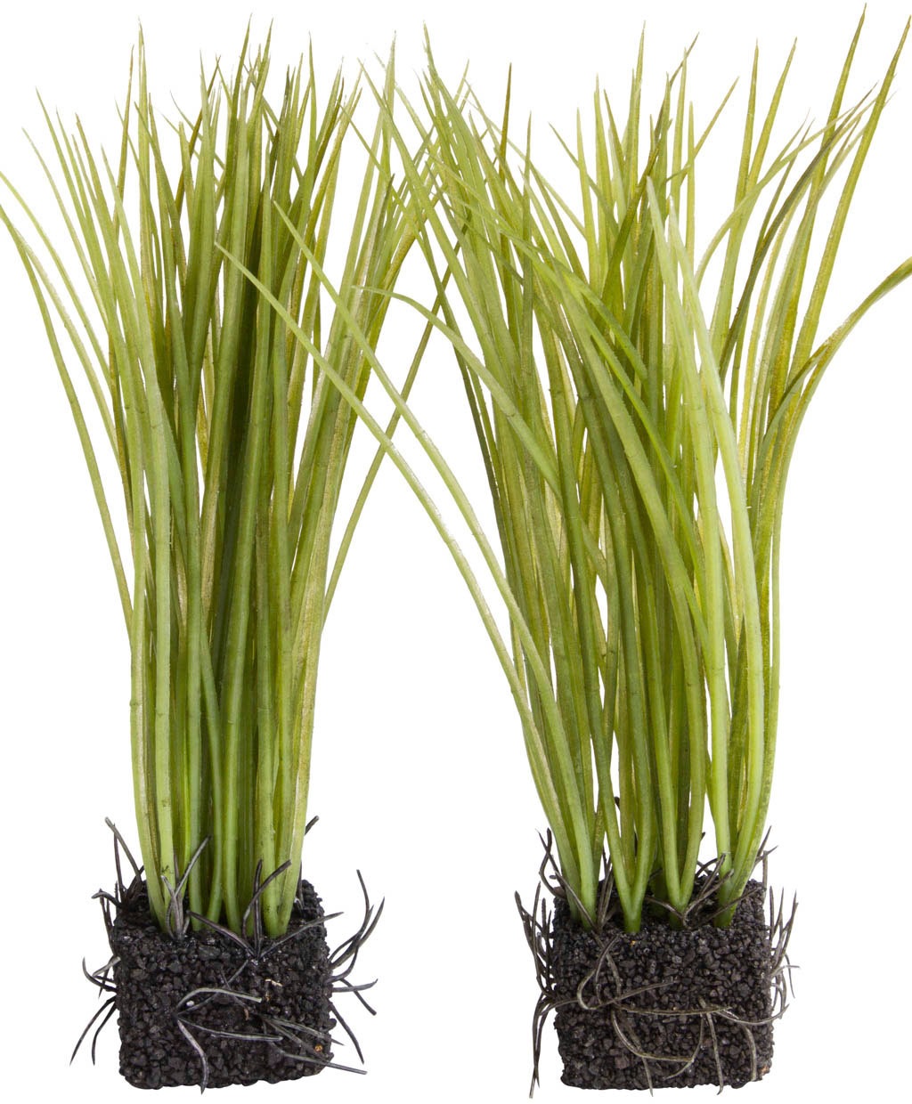 Image of Botanic-Haus Kunstgras »Grasarrangement«, (Set, 2 St.) bei Ackermann Versand Schweiz