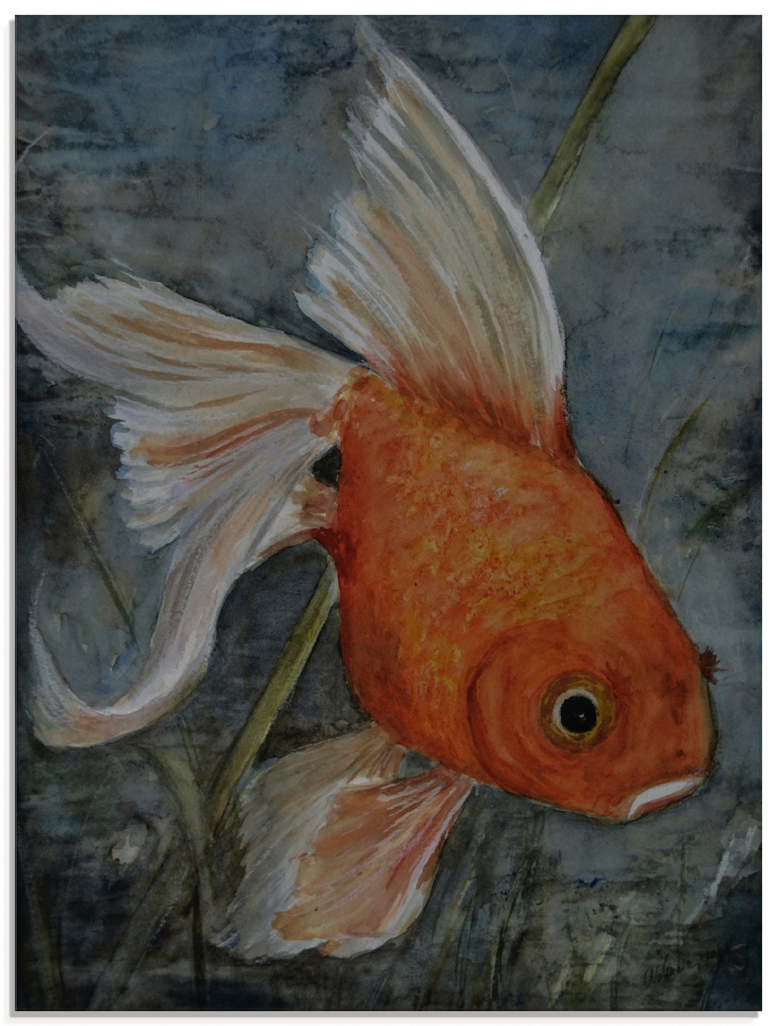 Image of Artland Glasbild "Feng Shui - Goldfisch" Wassertiere 1 Stk. tlg. in verschiedenen Grössen