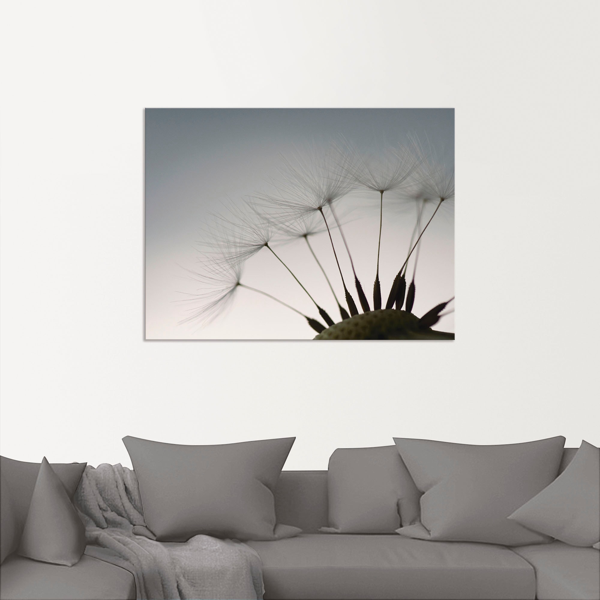 Artland Wandbild »Pusteblumen-Samen I«, Blumen, (1 St.), als Alubild, Outdoorbild, Leinwandbild, Poster in verschied. Grössen