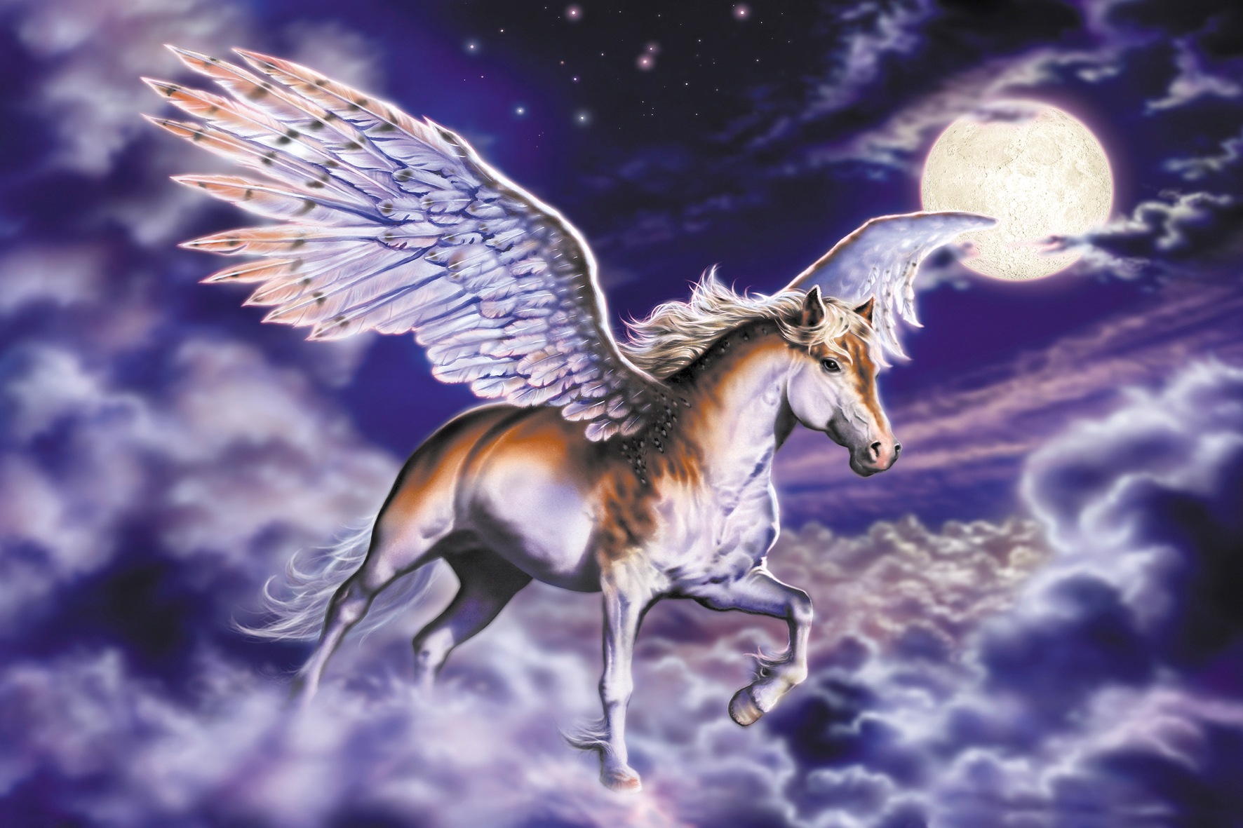 Image of Papermoon Fototapete »Pegasus« bei Ackermann Versand Schweiz