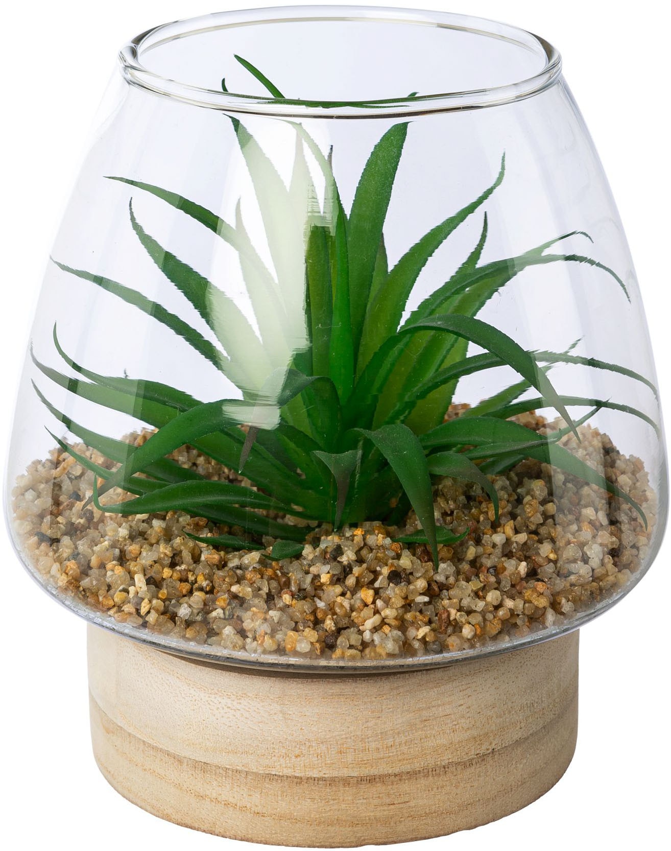 Creativ green Kunstpflanze »Sukkulenten im Glasgefäss« mit 2 verschiedenen Sukkulenten