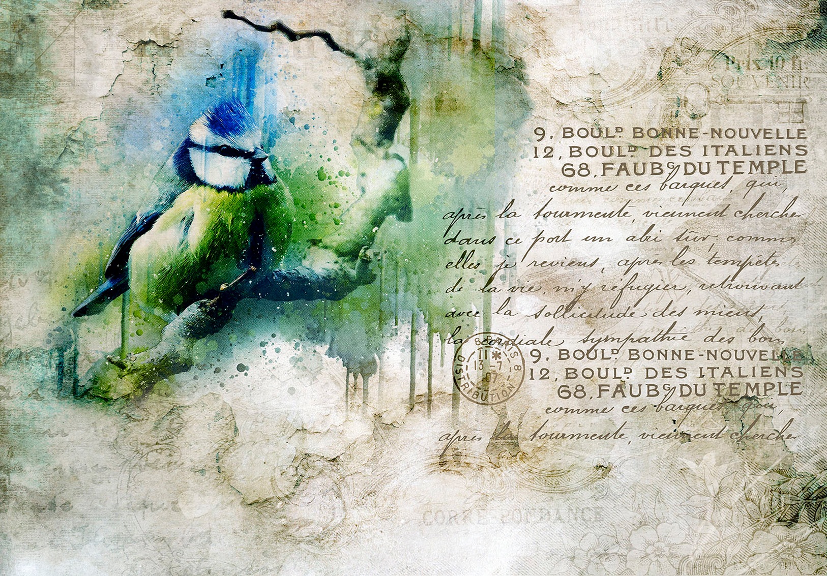 Image of Consalnet Vliestapete »VOGEL VINTAGE«, grafisch, in verschiedenen Grössen bei Ackermann Versand Schweiz