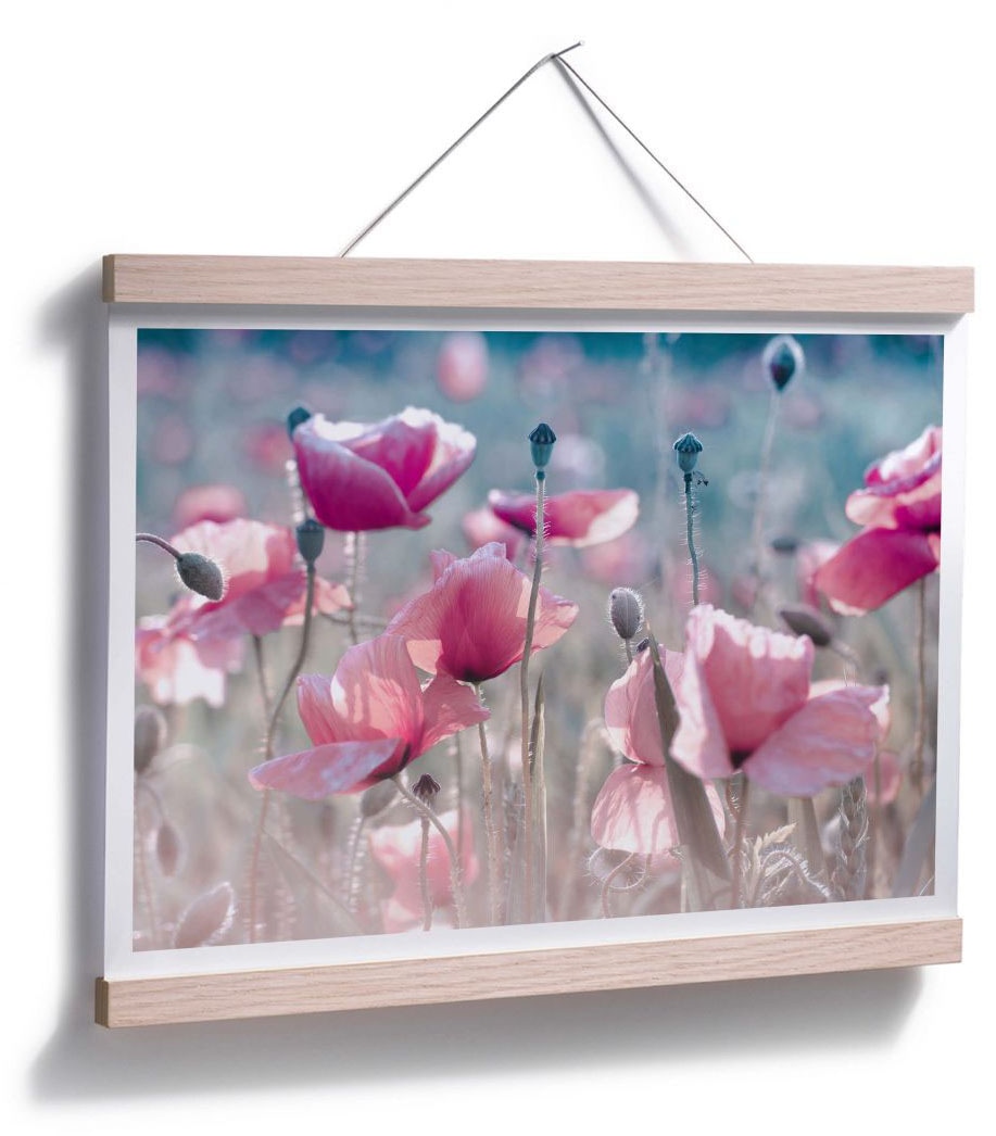 Wall-Art Poster »Mohnblumen kaufen jetzt Wiese«, Blumen, (1 St.)