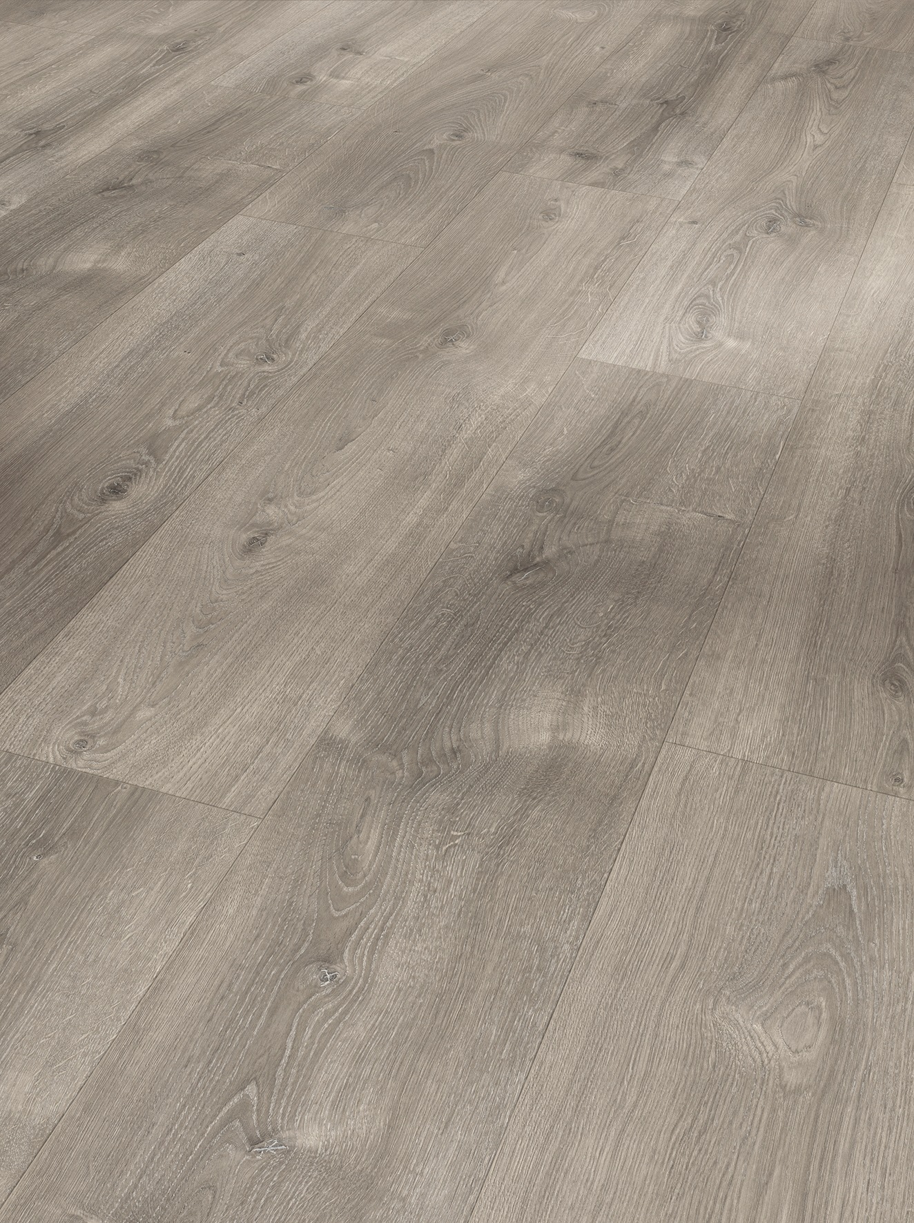 Image of PARADOR Laminat »Basic 600 breite Landhausdiele Eiche Valere perlgrau gekälkt«, (Set), Naturstruktur, Verlegefläche: 2,19 m², matt, für Fussbodenheizung geeignet bei Ackermann Versand Schweiz