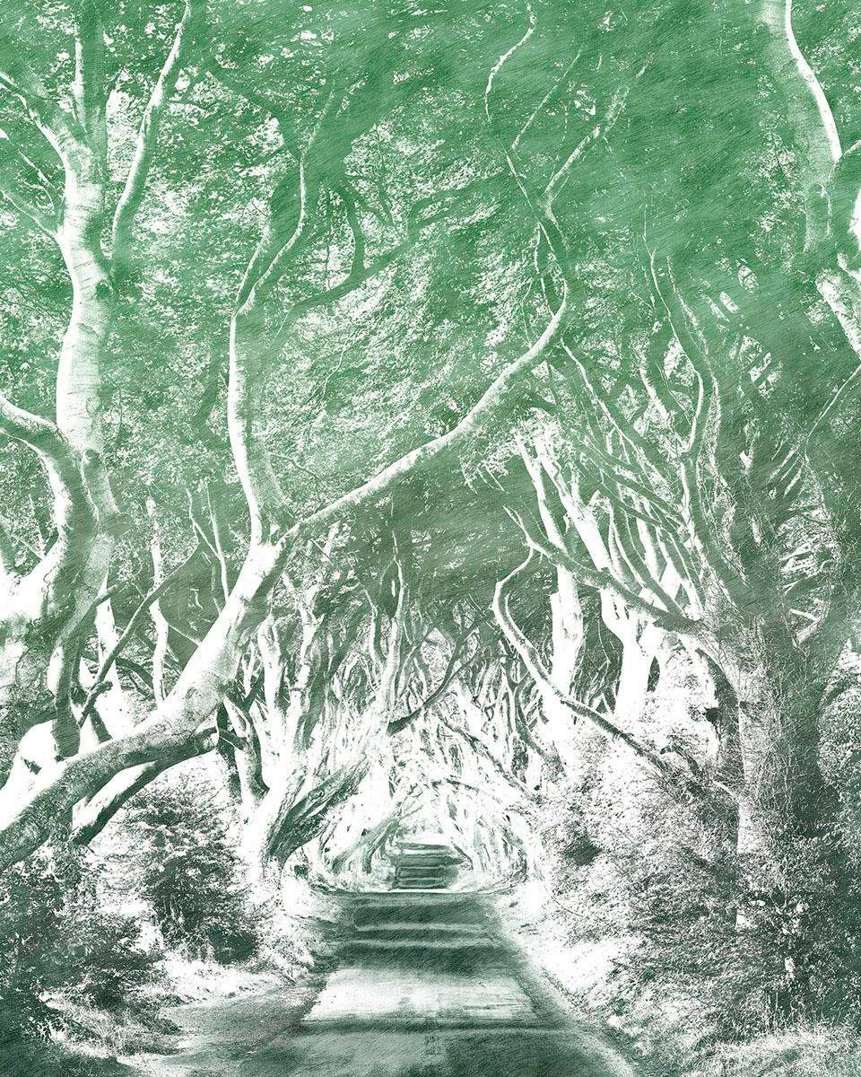 Image of Komar Vliestapete »Alley Graphite«, naturalistisch bei Ackermann Versand Schweiz