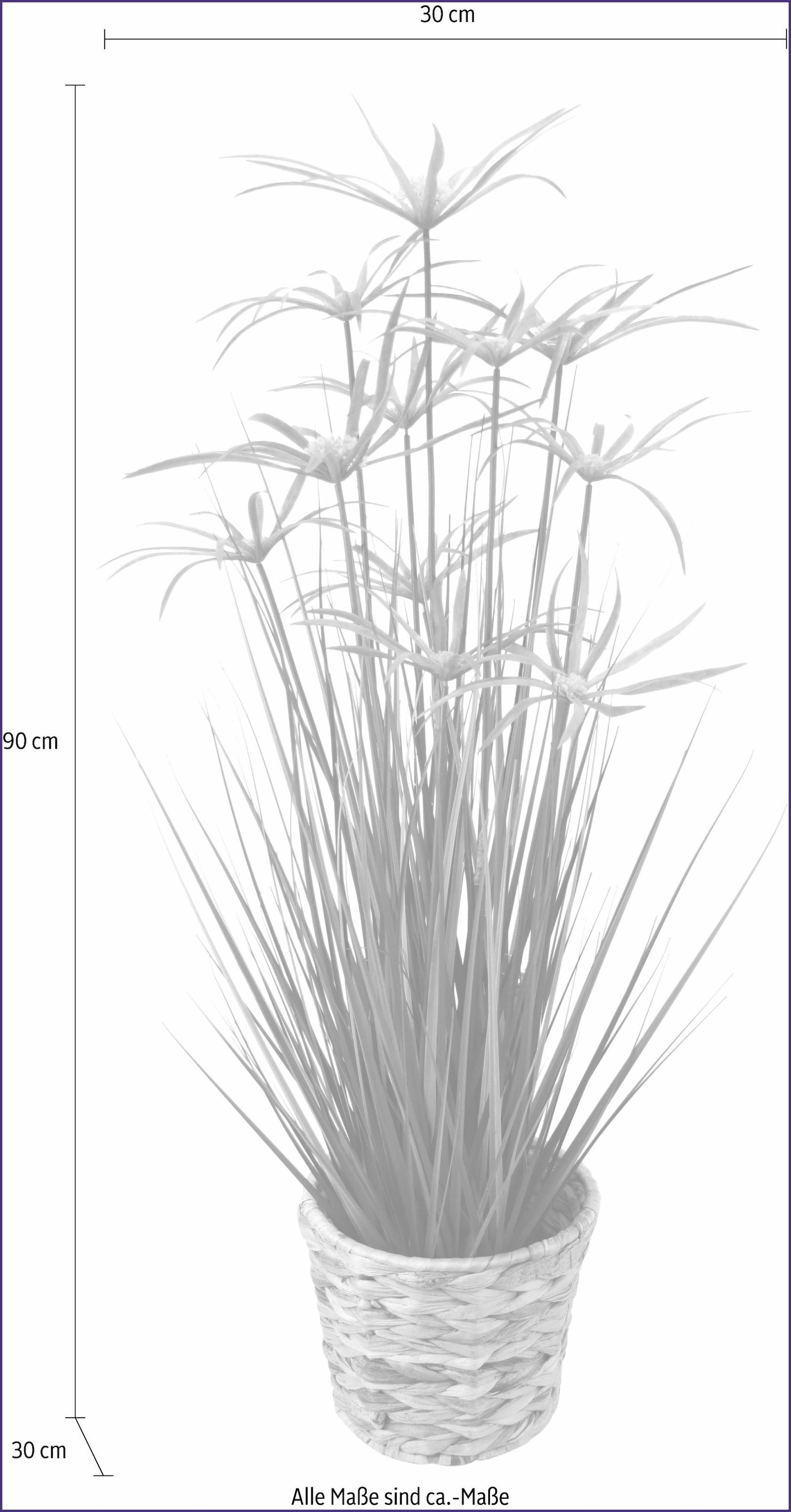 in Kunstpflanze »Zyperngras Wasserhyazinthentopf« I.GE.A.