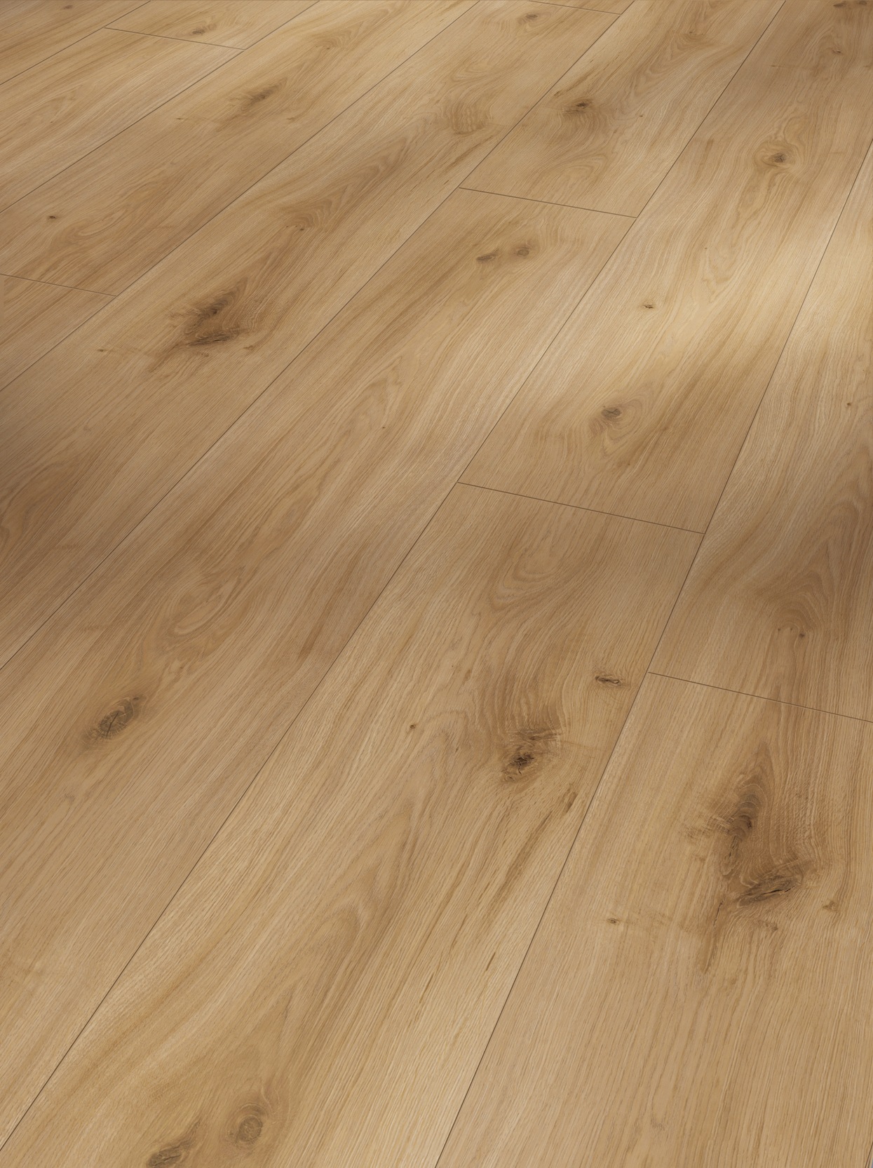 Image of PARADOR Laminat »Basic 600 - Eiche Horizont Natur«, (Packung), Kantenimprägnierung, 1285 x 243 mm, Stärke: 8 mm bei Ackermann Versand Schweiz