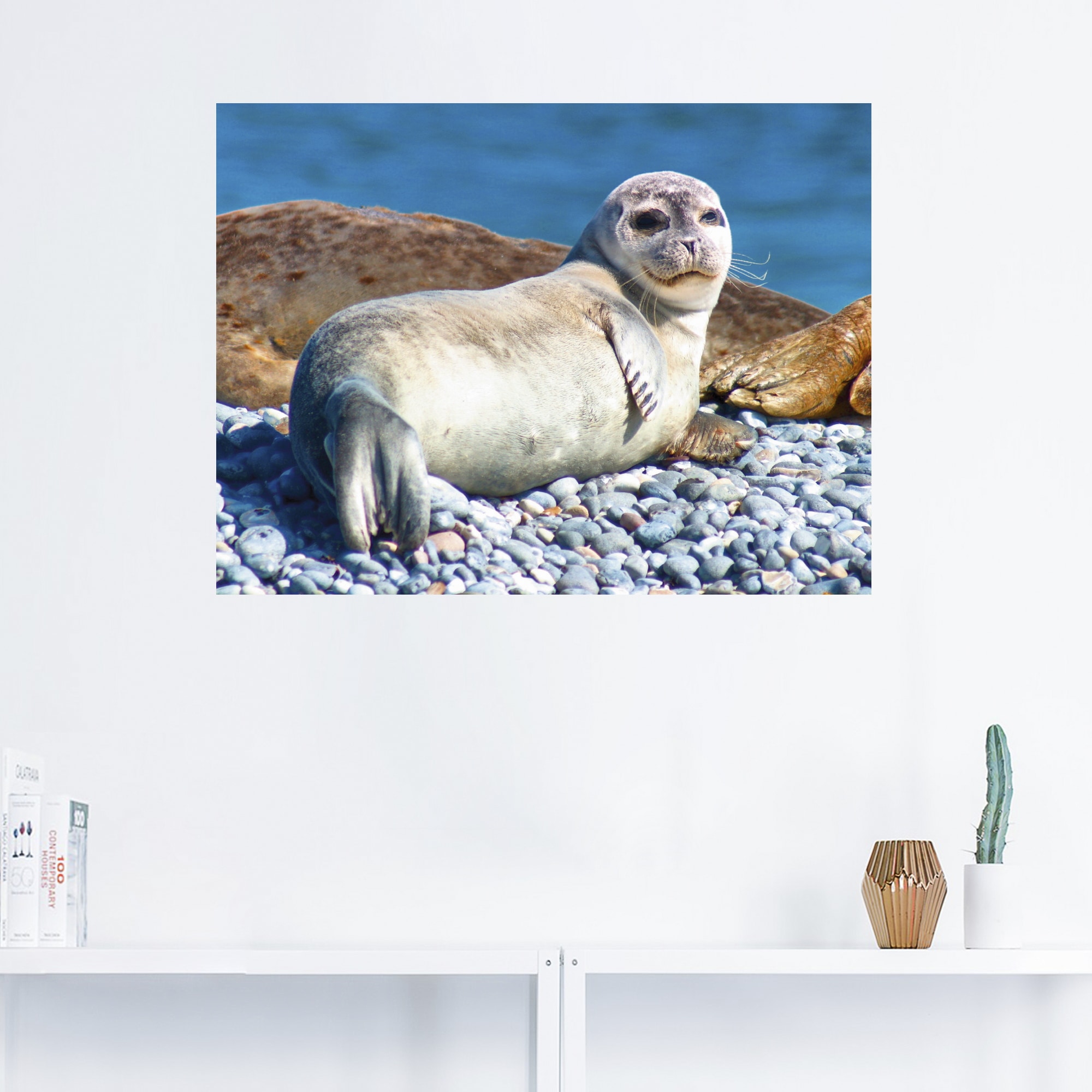 Artland Wandbild »Junger Seehund am Strand von Helgoland«, Wassertiere, (1 St.), als Alubild, Leinwandbild, Wandaufkleber oder Poster in versch. Grössen