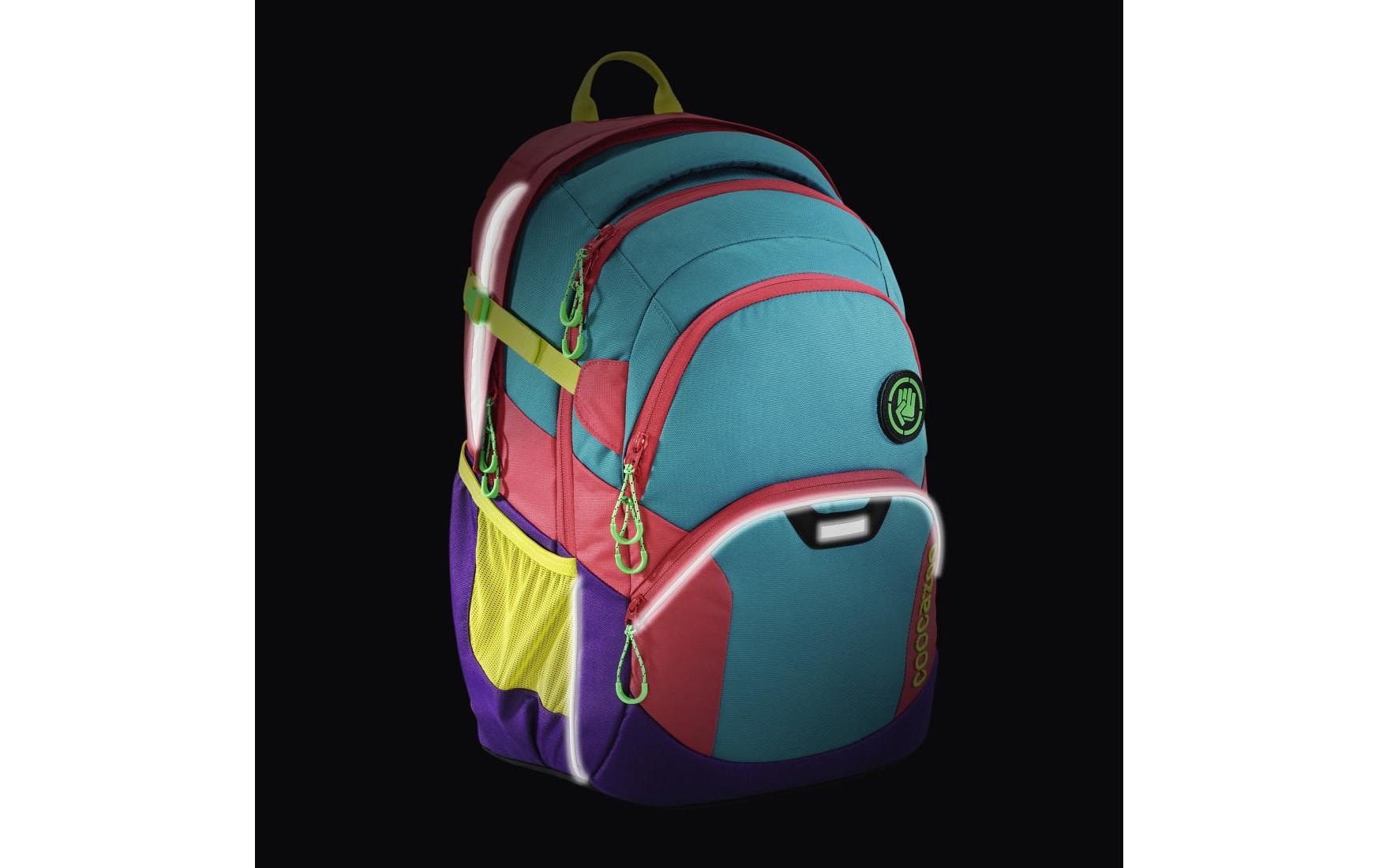 Coocazoo Rucksack »JobJobber2 Holiman«