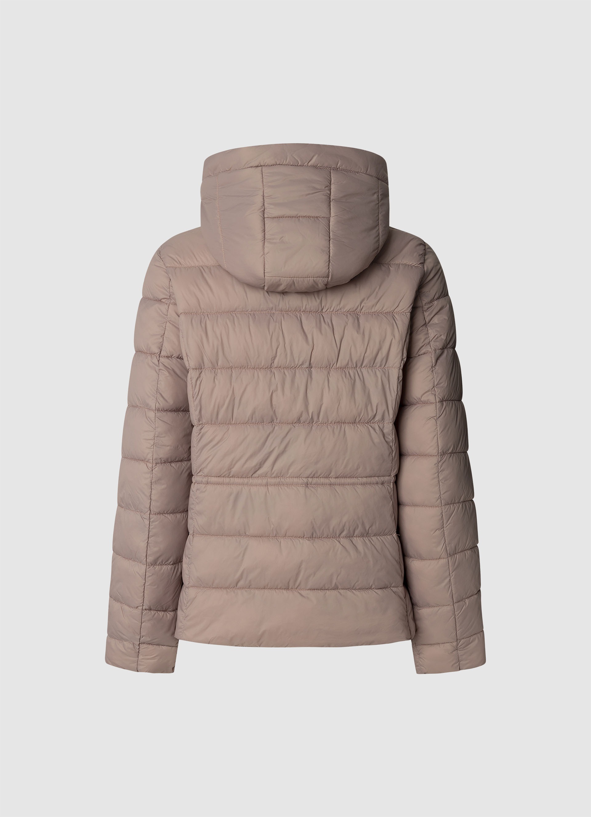 Pepe Jeans Steppjacke »SALLY SHORT«, mit Kapuze, tailliert, mit verstellbarem Kordelzug