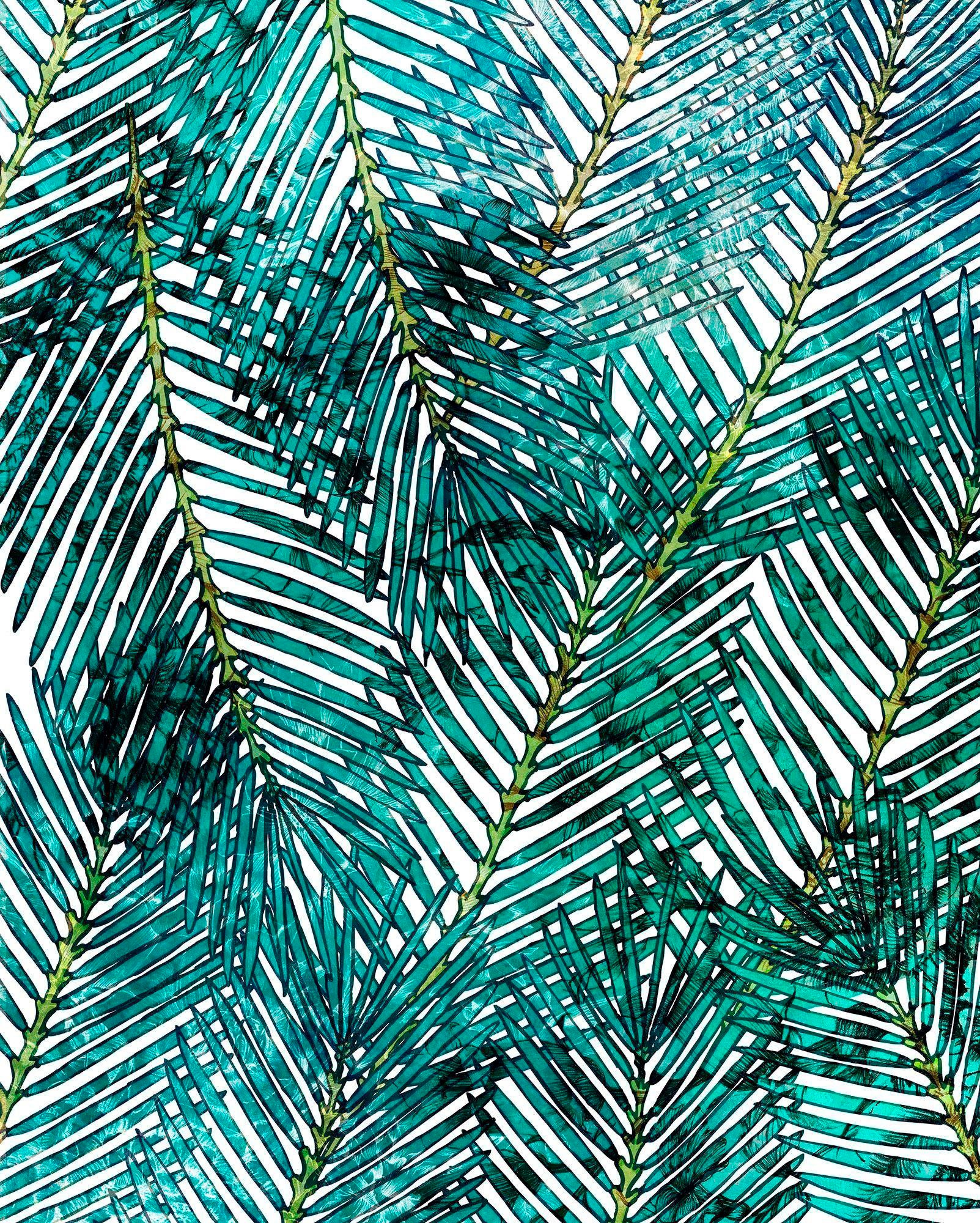 Image of Komar Vliestapete »Pure Palm Canopy«, naturalistisch bei Ackermann Versand Schweiz