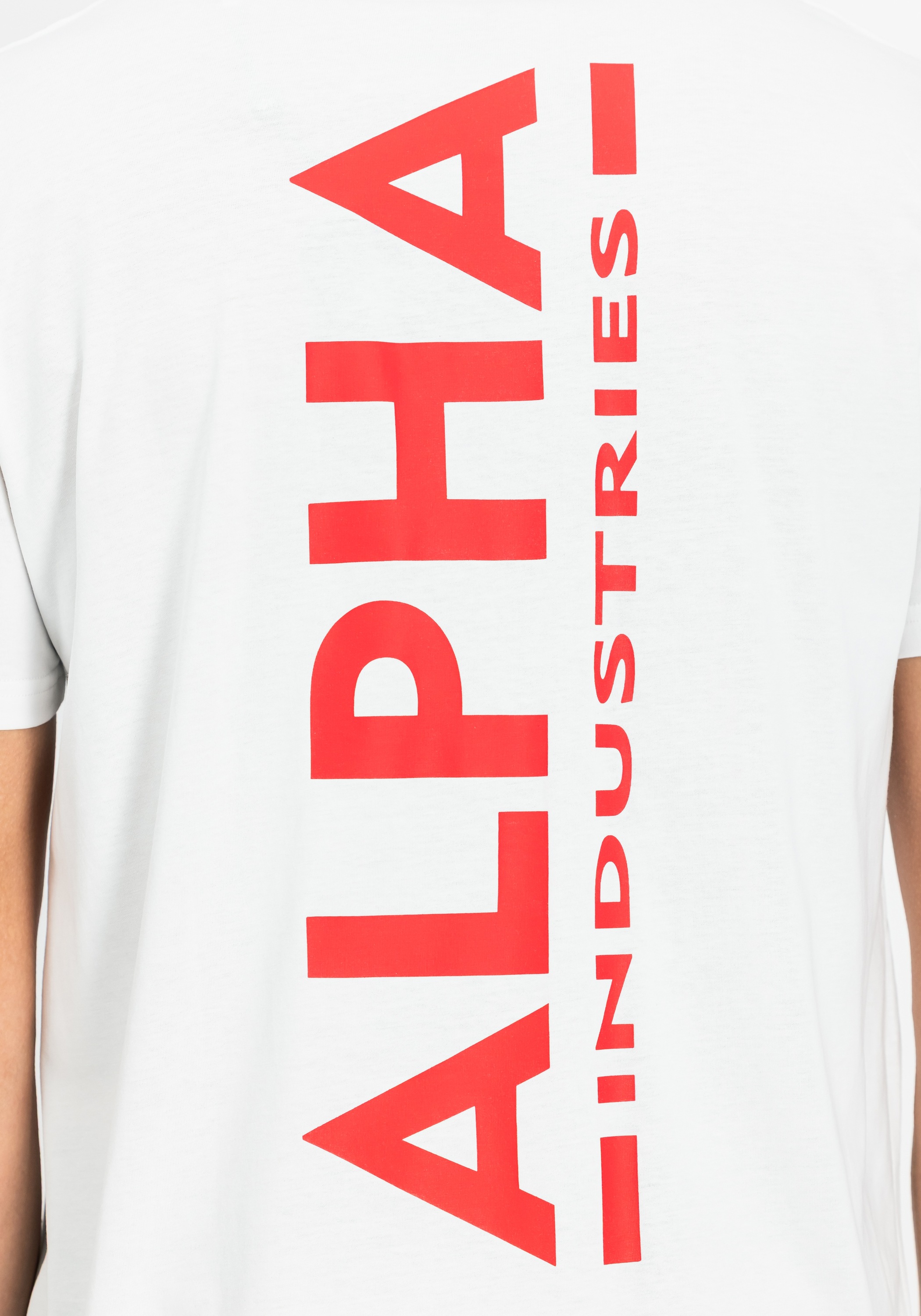 Alpha Industries T-Shirt »Backprint T-Shirt«