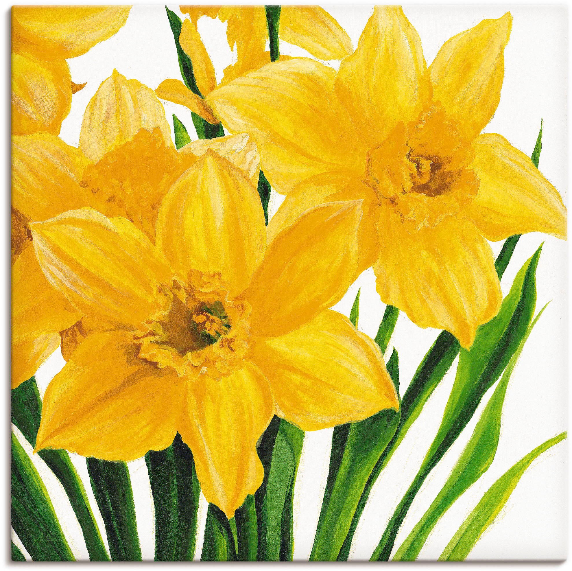 Image of Artland Leinwandbild "Gelbe Narzissen" Blumen 1 Stk. tlg. auf Holzrahmen gespannt