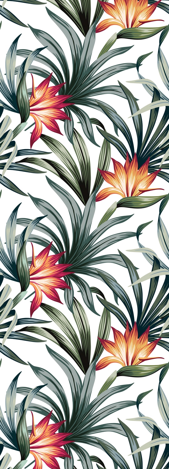Image of queence Vinyltapete "Hedda" Motiv bedruckt botanisch floral gemustert natürlich glatt 90x250cm, selbstklebend, kinderleichte Anbringung, Sticker