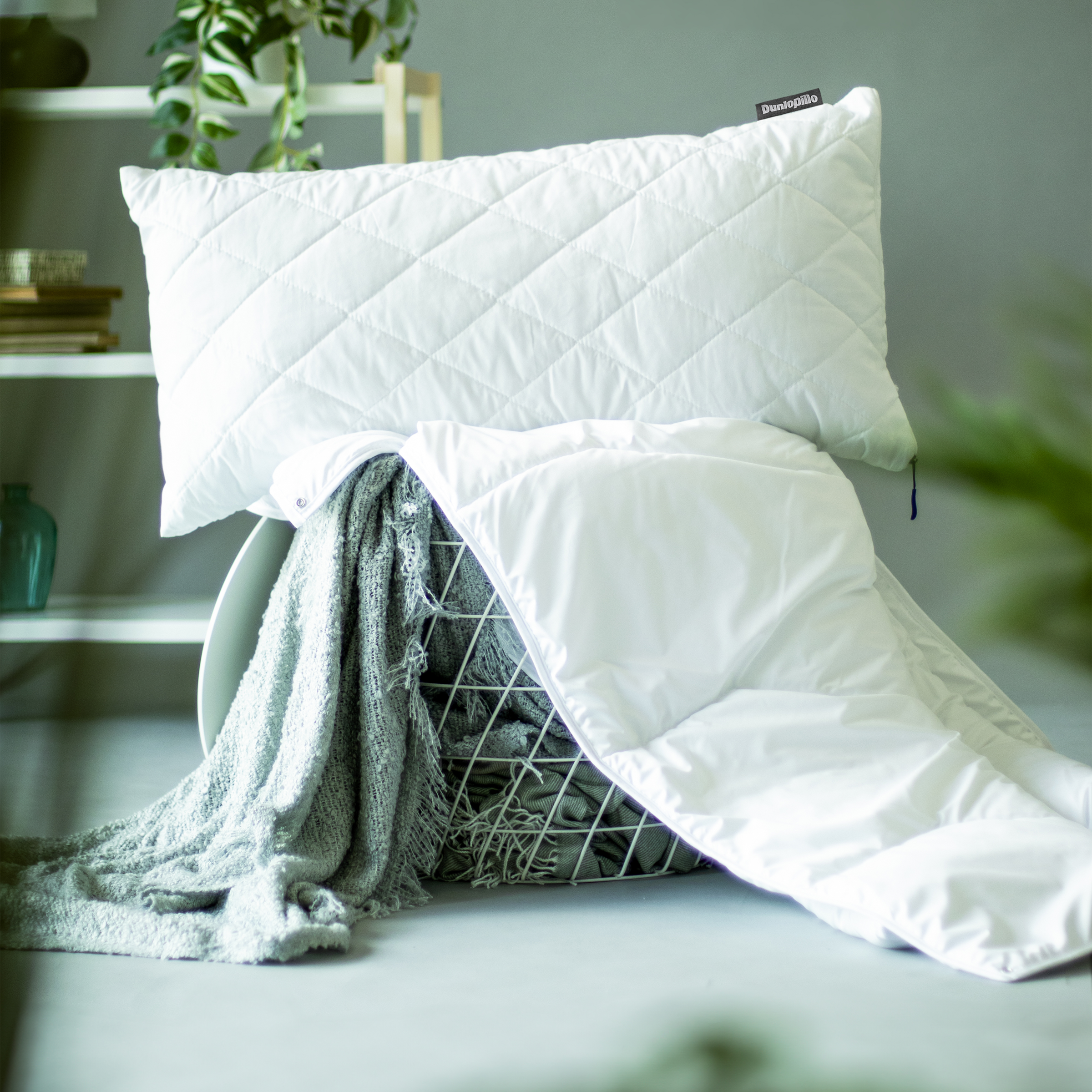 Dunlopillo Oreiller en microfibre »Home, "NEUHEIT" Kissen  Allergikerfreundlich, weich & atmungsaktiv« Füllung: polyester Bezug: Polyester 1 cuis tlg. oreiller 40x80 cm, 80x80 cm, ergonomique, durable, de haute qualité