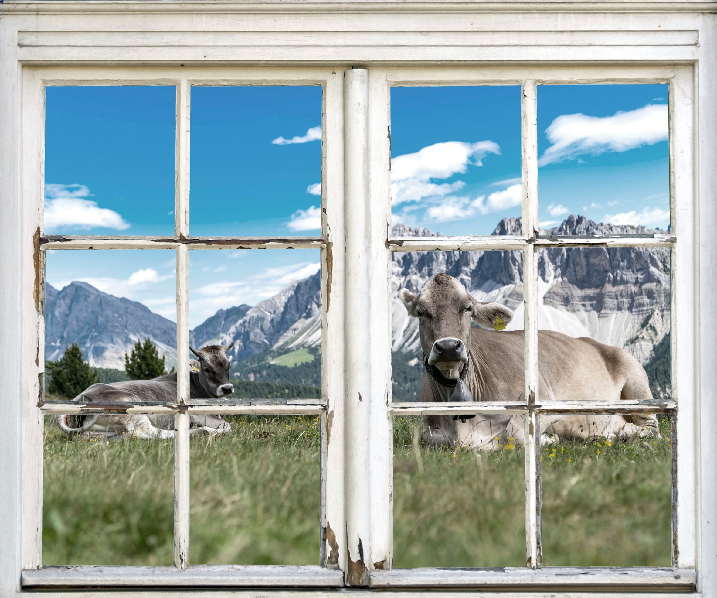 queence Wandsticker »Kühe auf der Alm«, Wandsticker, Wandbild, selbstklebend, 3D, Fenster