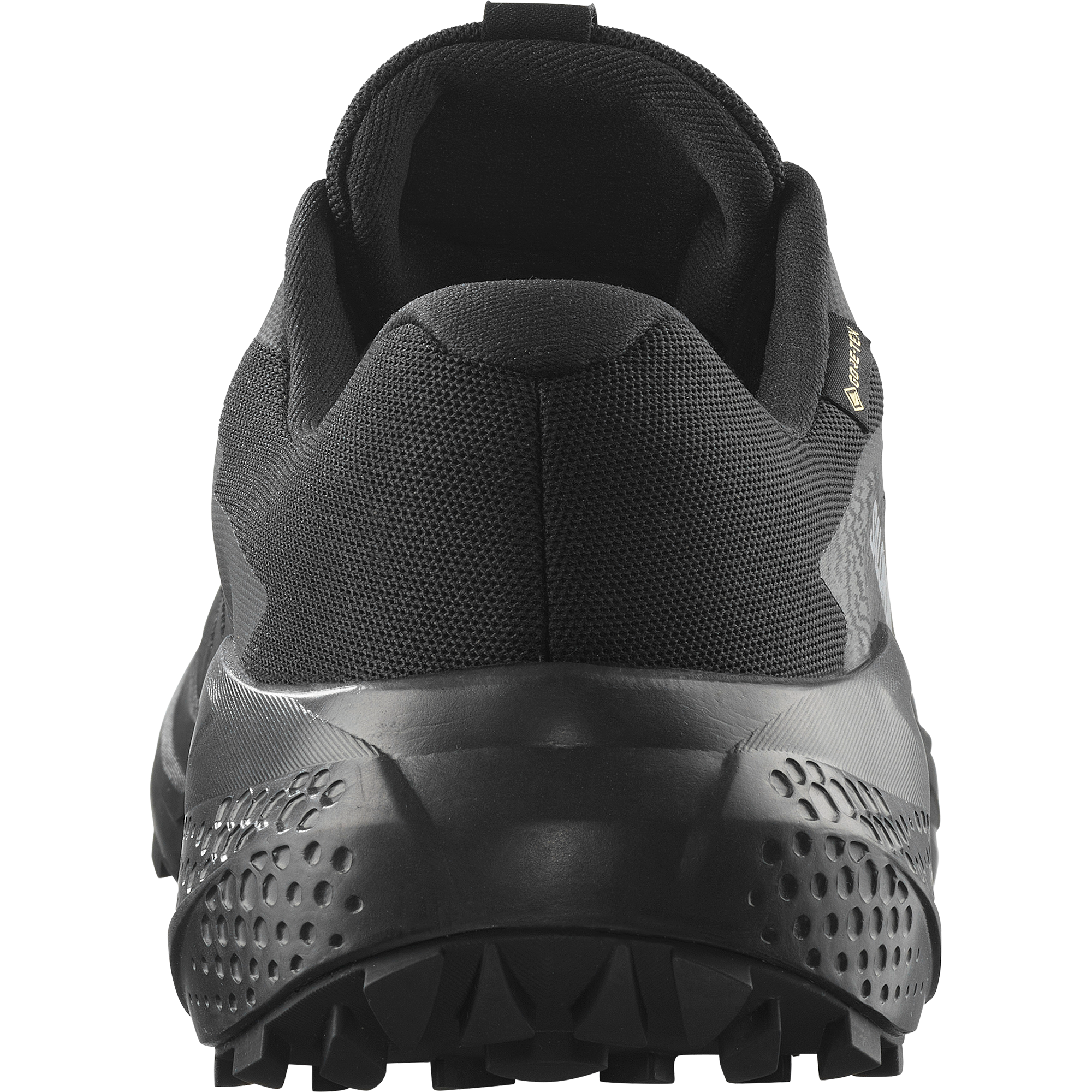 Salomon Trailrunningschuh »ALPHAGLIDE GORE-TEX«, wasserdicht