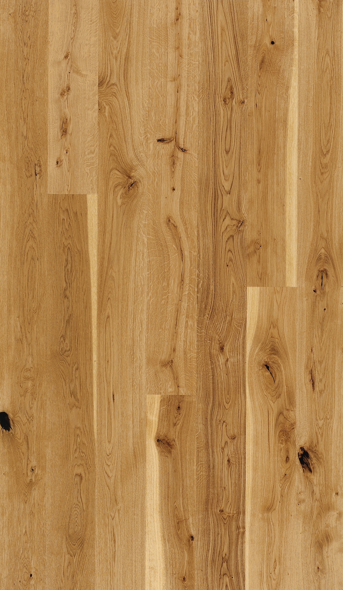 Image of PARADOR Parkett »Basic Rustikal Eiche«, (Packung), ohne Fuge, 1080 x 185 mm, Stärke: 11,5 mm, 2,2 m² bei Ackermann Versand Schweiz