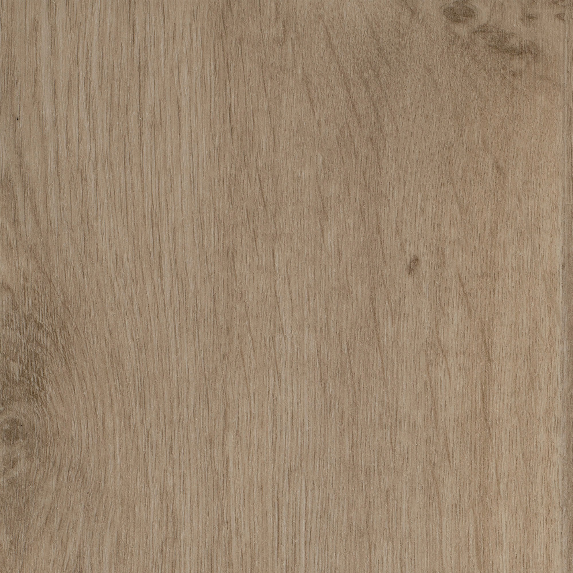 Image of Bodenmeister Vinylboden »PVC Bodenbelag Holzoptik Diele Eiche creme hell«, Meterware, Breite 200/300/400 cm bei Ackermann Versand Schweiz