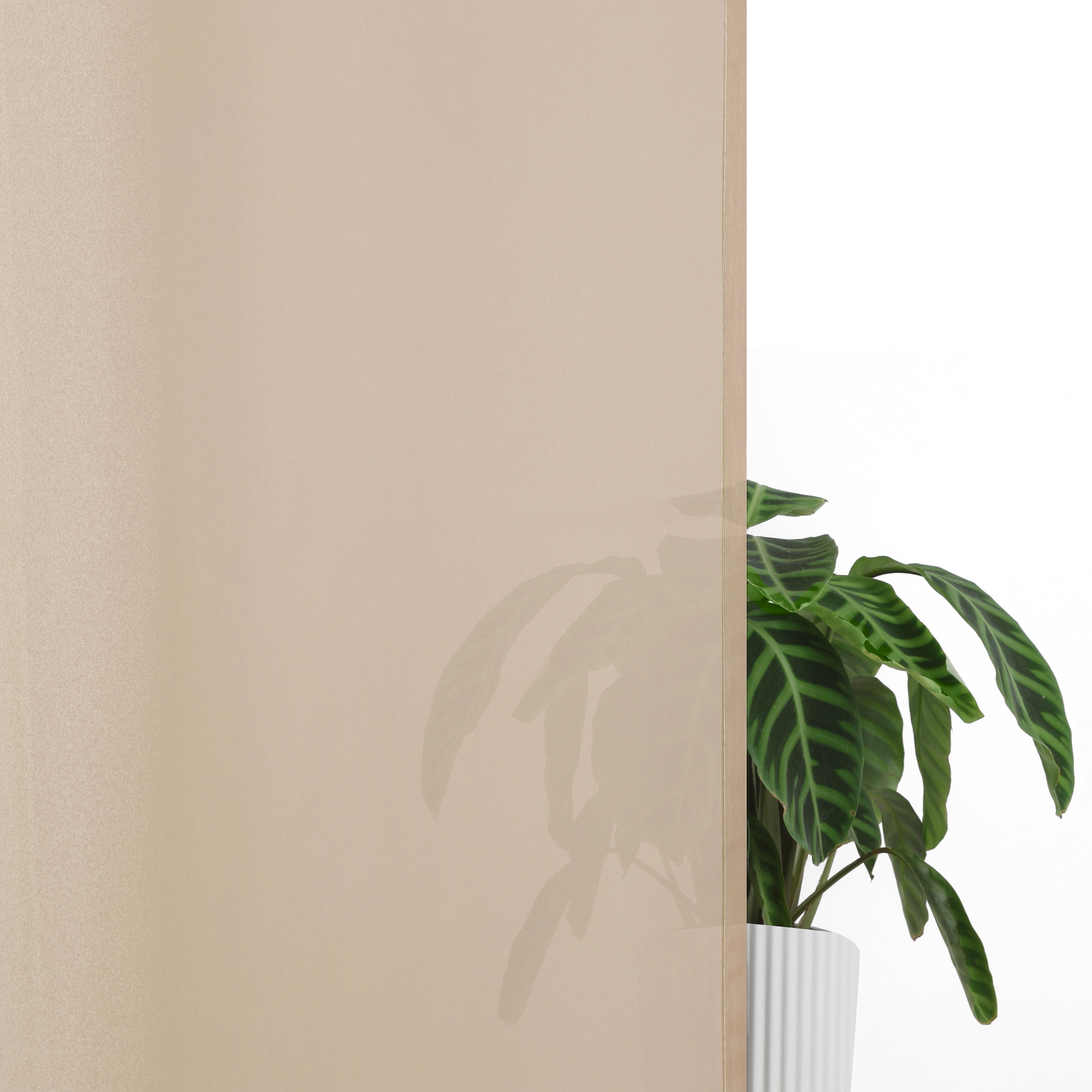 GOODproduct Gardine »Nivva« Ösen 2 Stk. tlg. Transparent, Ösen- Aufhängung, Pflegeleicht, 2er Set