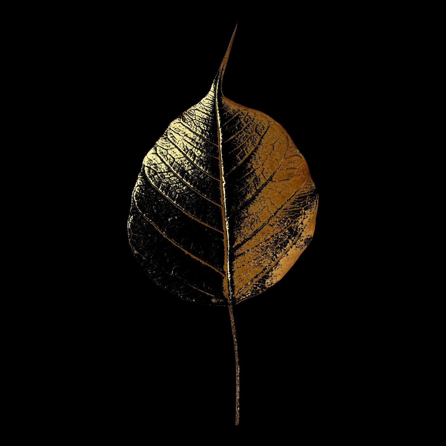 Image of Leonique Acrylglasbild »Blatt« bei Ackermann Versand Schweiz