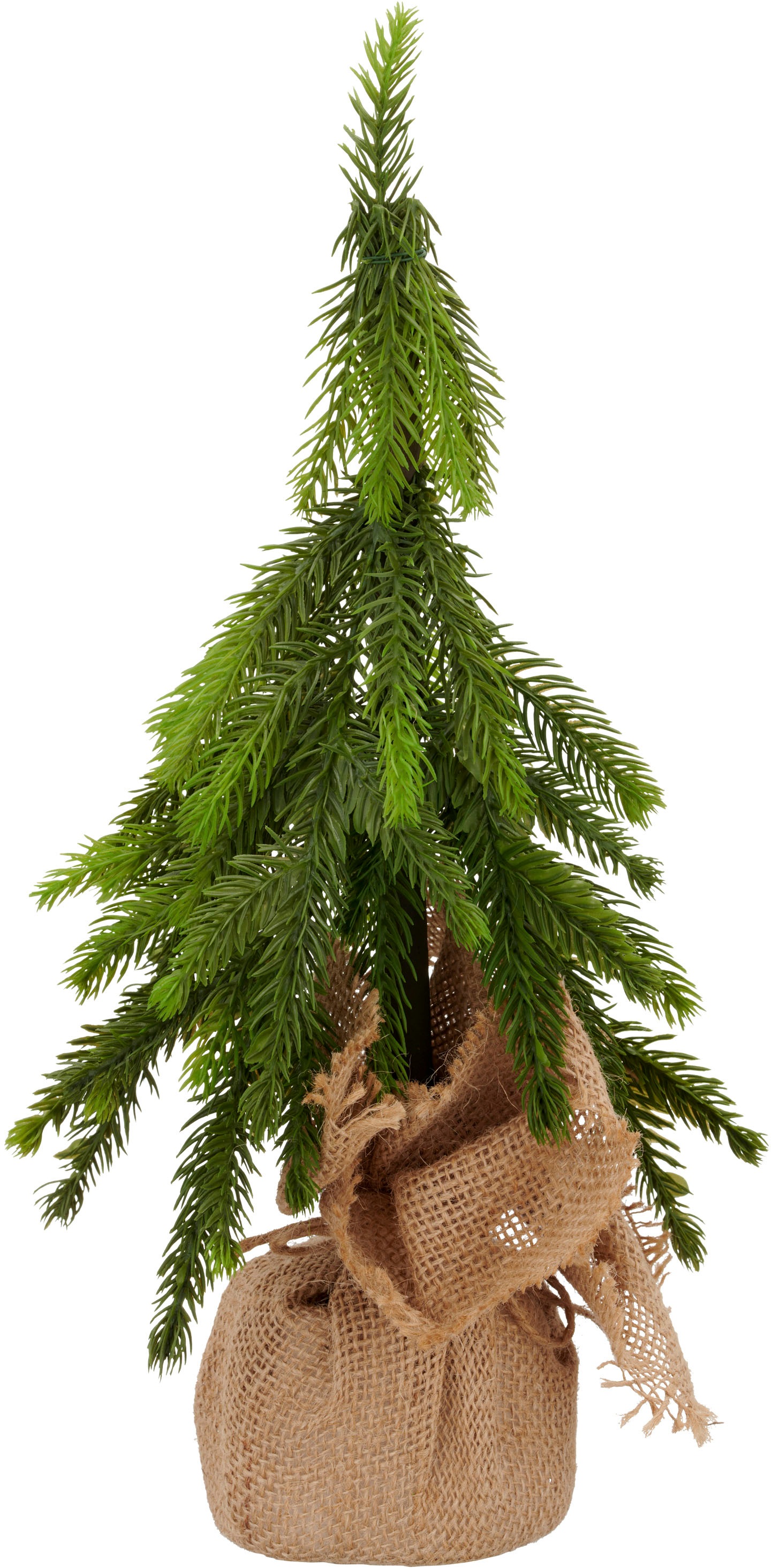 Creativ green Winterliche Kunstpflanze »Tannenbäumchen« im Set aus 2 Grössen