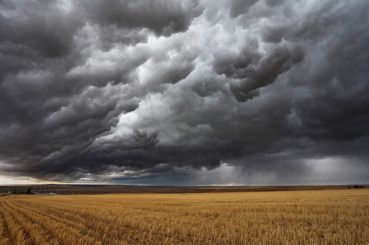 Image of Papermoon Fototapete "Feld mit Gewitter"