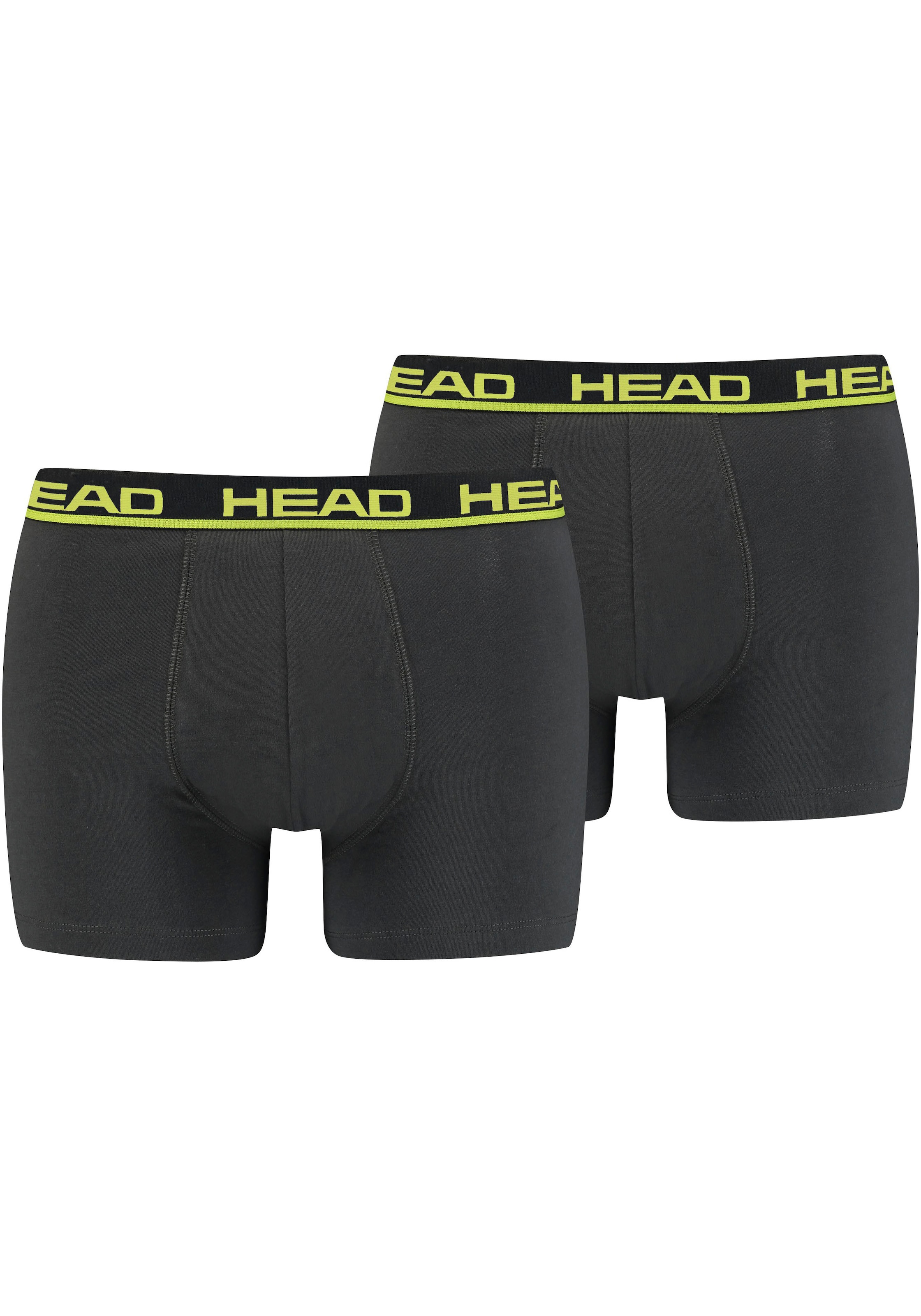 Image of Head Boxer "HEAD BASIC BOXER 2P" mit elastischem Logobund