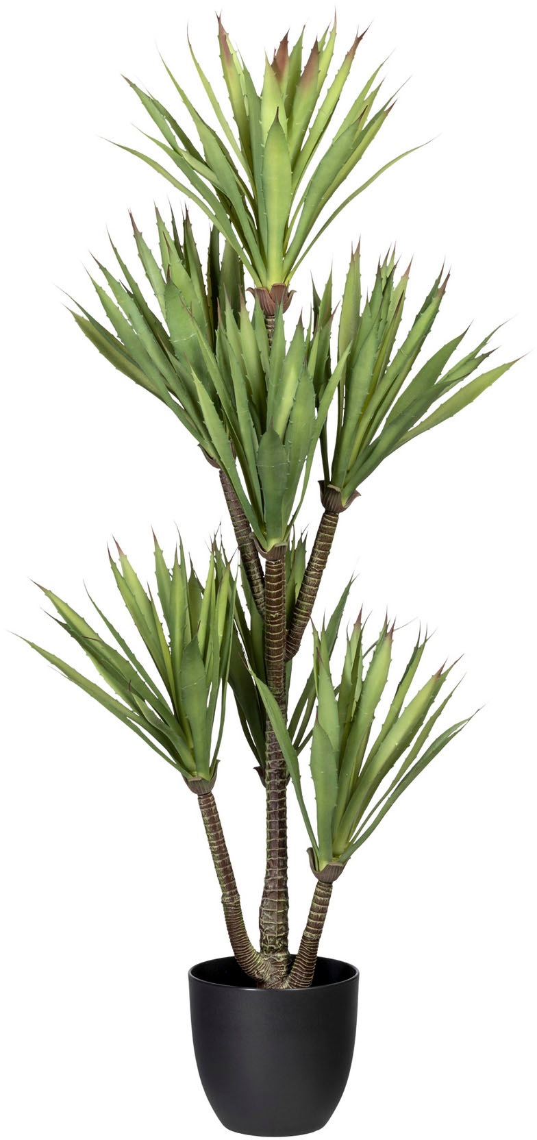 Image of Creativ green Künstliche Zimmerpflanze »Yucca«, (1 St.) bei Ackermann Versand Schweiz