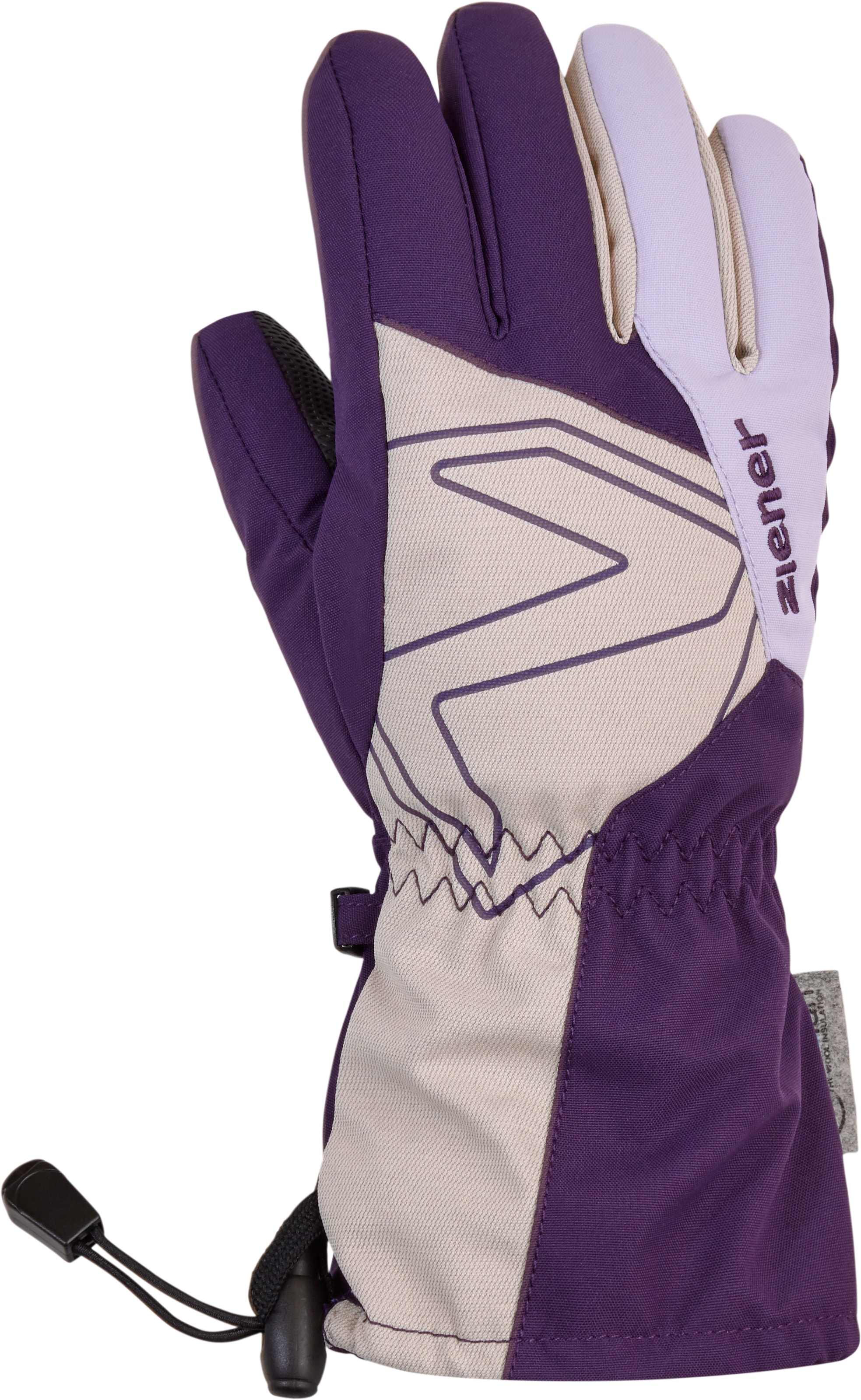 Ziener Gants de ski »LAVAL AS(R) AW«