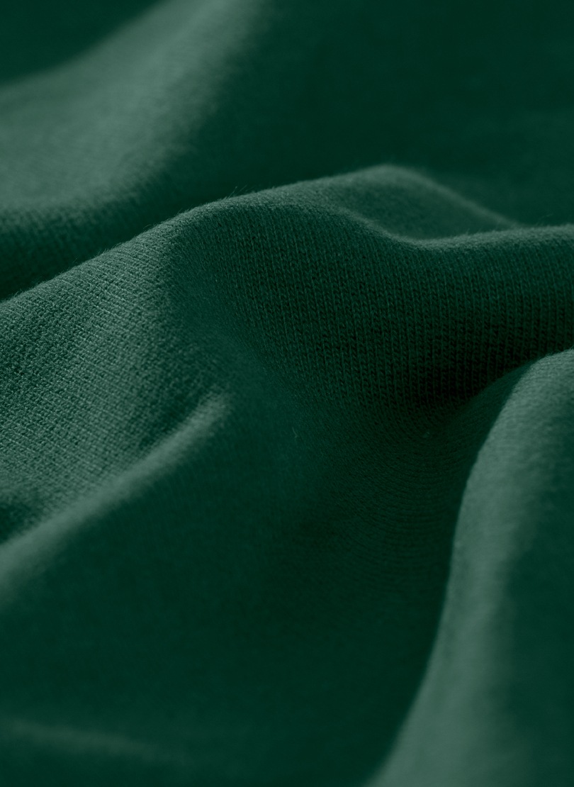 Trigema Sweatshirt »TRIGEMA Sweatshirt aus Biobaumwolle«