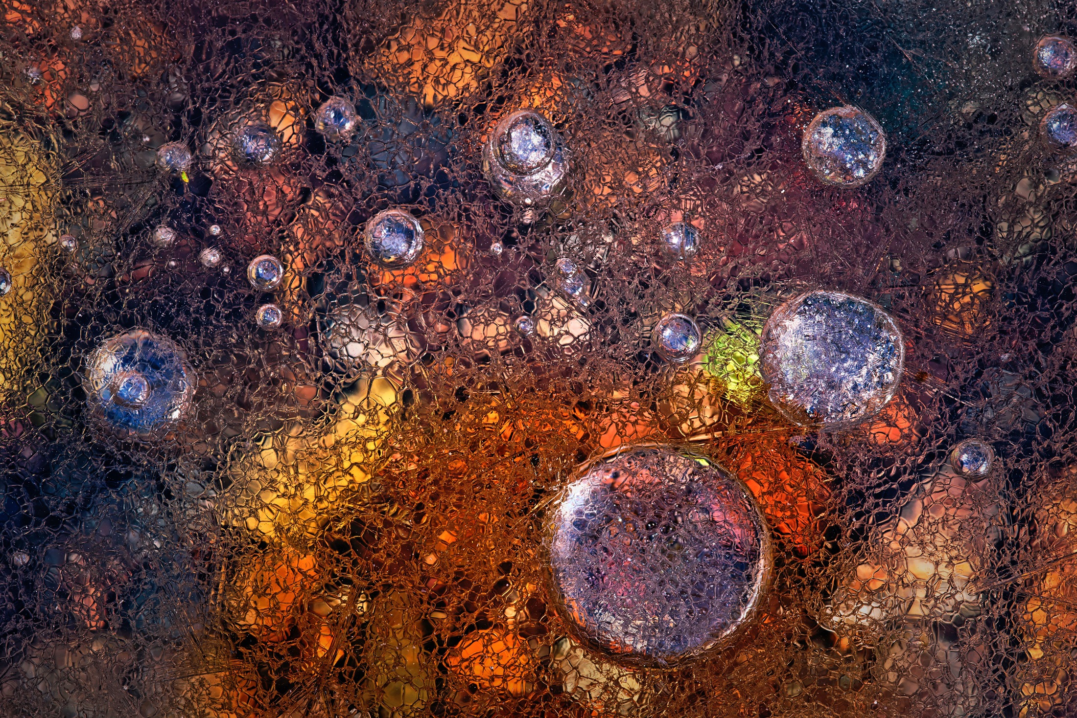 Image of Papermoon Fototapete »Photo-Art PAOLO GIUDICI, WINTER ÜBER DEN HERBST«, Vliestapete, hochwertiger Digitaldruck, inklusive Kleister bei Ackermann Versand Schweiz