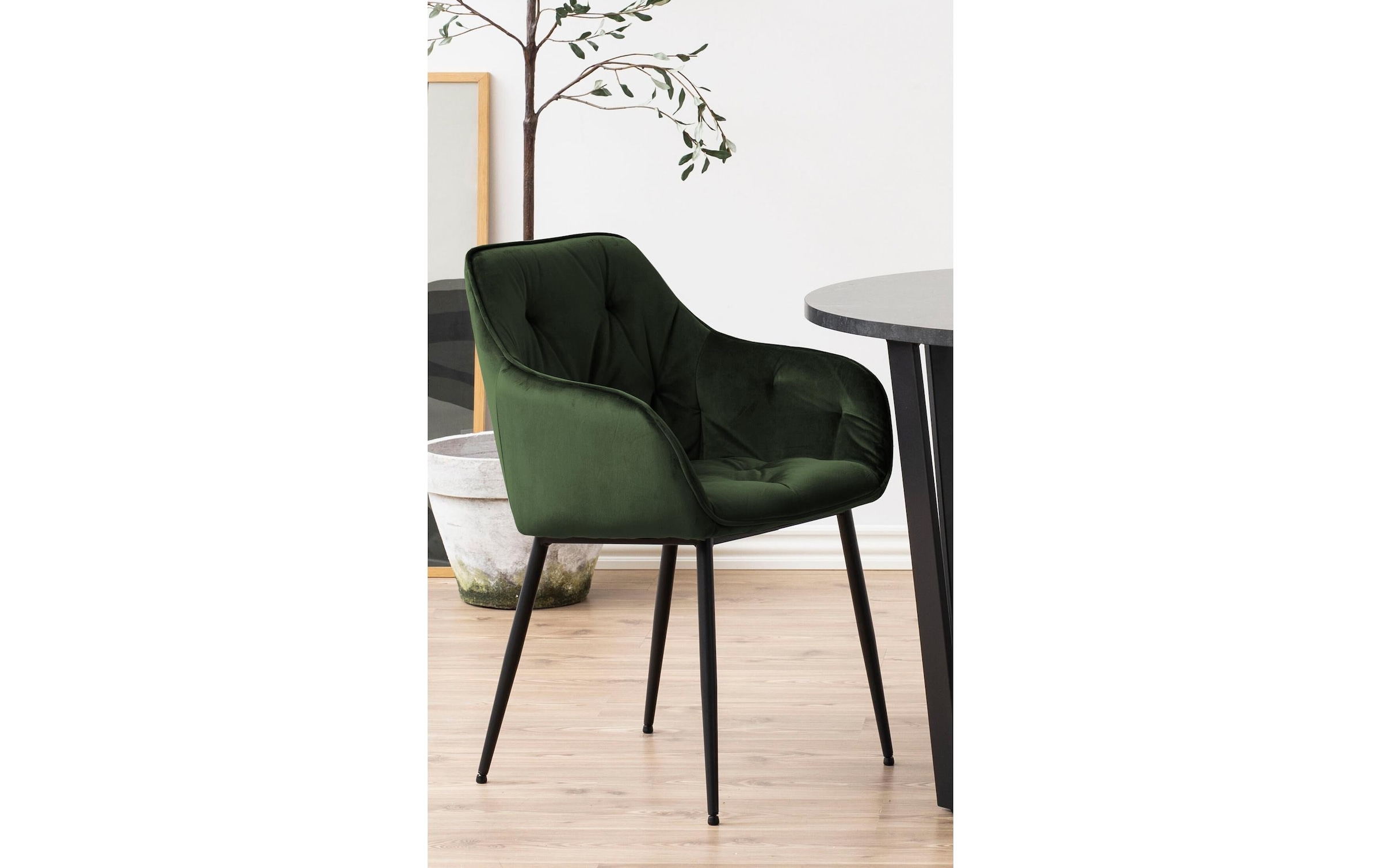 AC Design Stuhl »Brooke, 2 Stück«