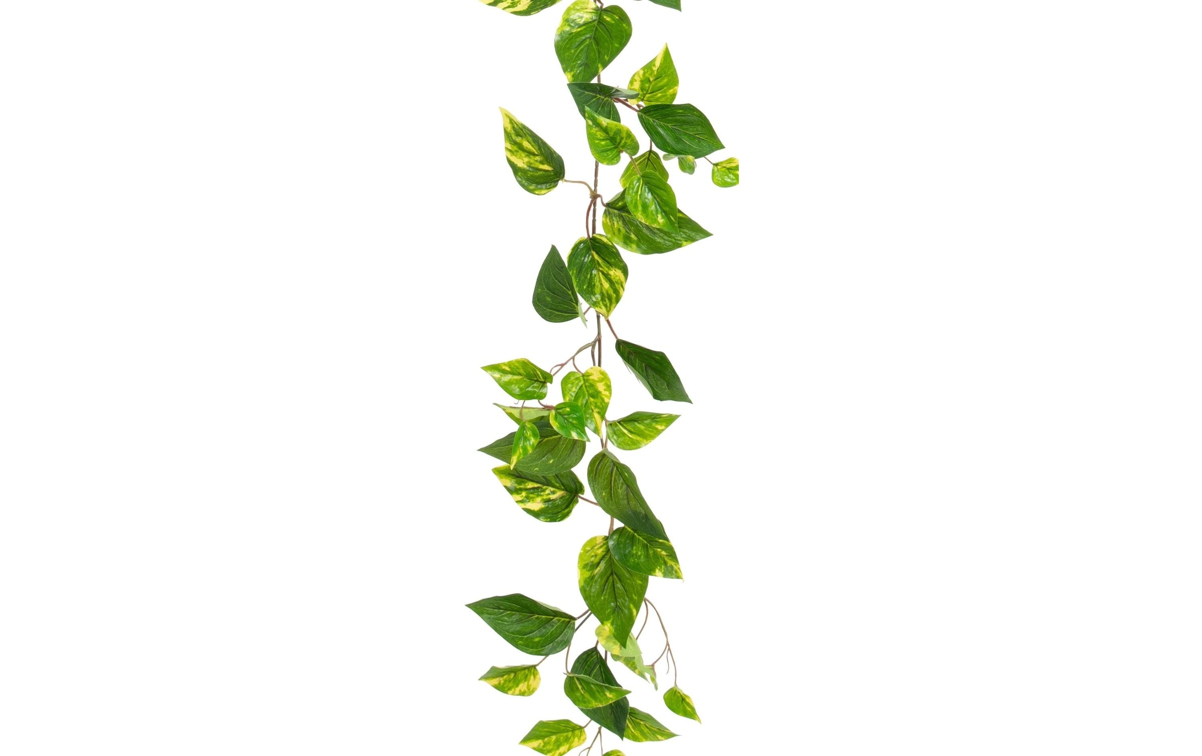Kunstblume »Dekomat AG Efeugirlande 150 cm«
