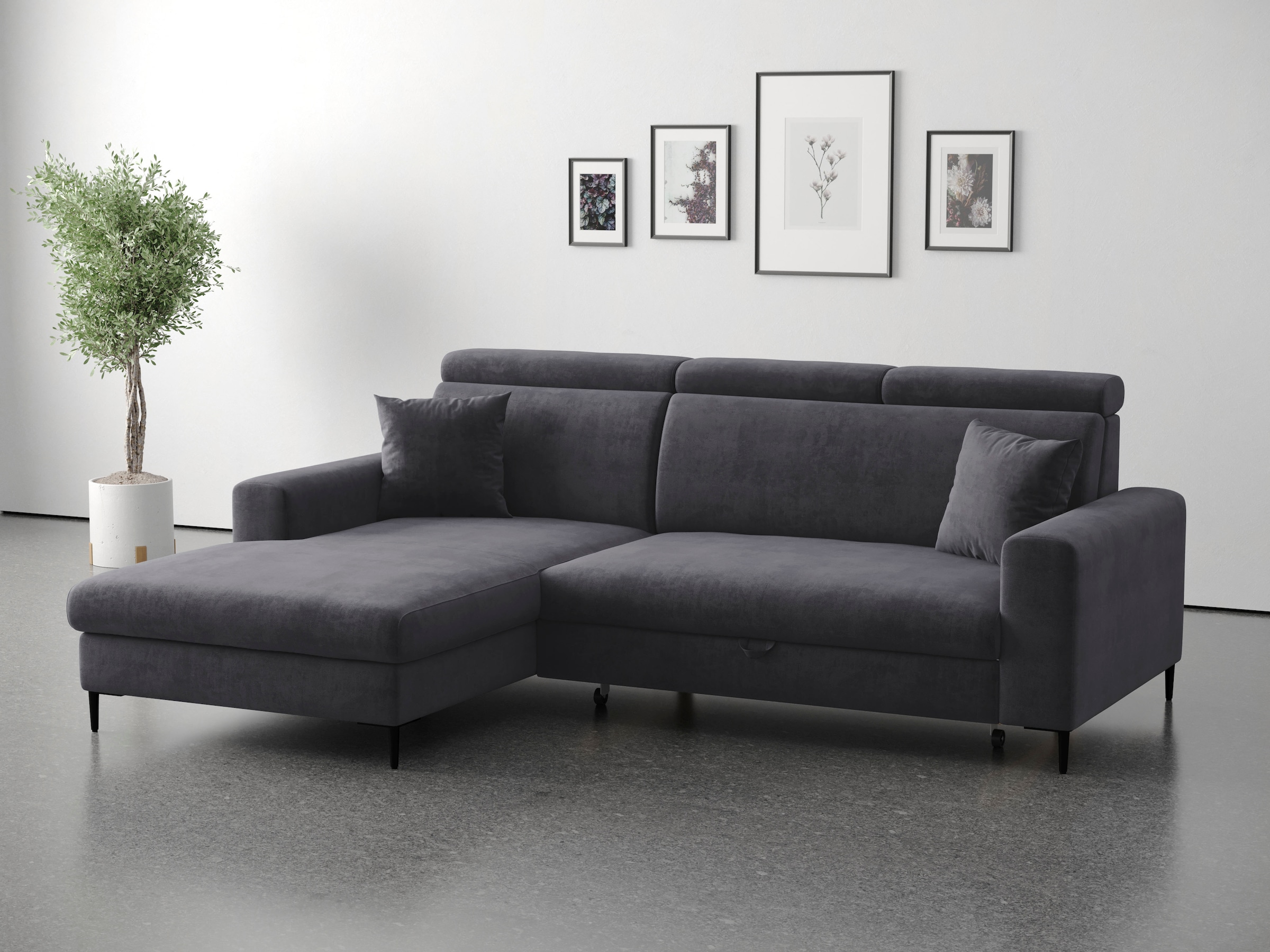 Trends by HG Canapé d'angle »Nizza, L-Form, B: 250cm« Schlaffunktion + Bettkasten