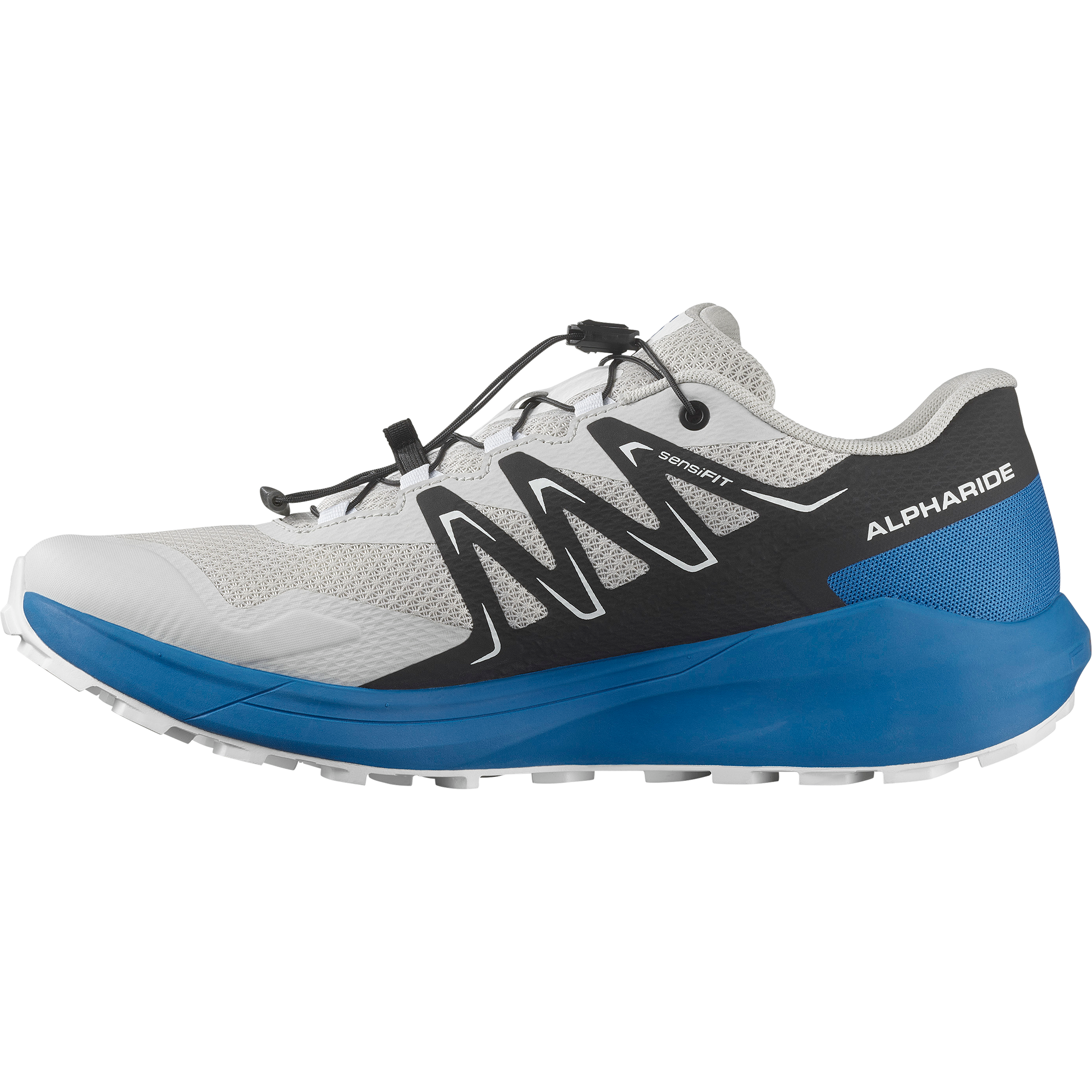 Image of Salomon Trailrunningschuh "ALPHARIDE" wasserdicht