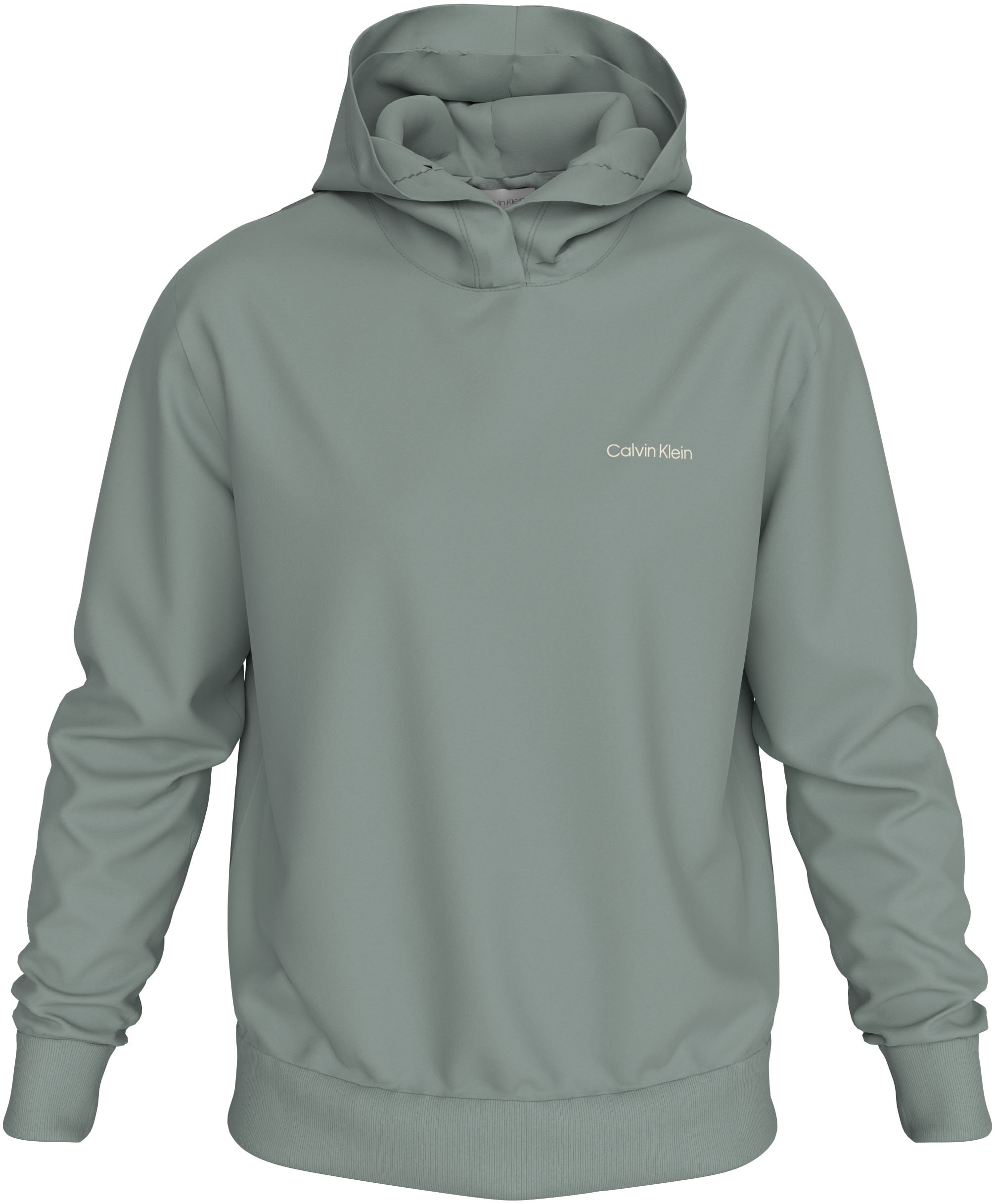 Calvin Klein Big&Tall Kapuzensweatshirt »BT_ENLARGERD BACK LOGO HOODIE«, in grossen Grössen mit Markenlabel