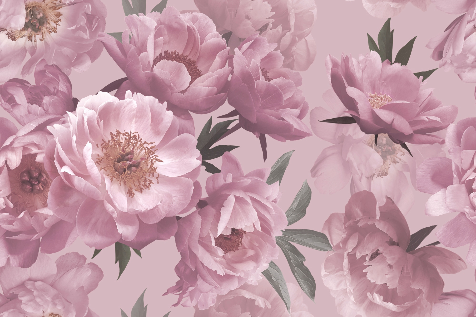 Fototapete »BLUMEN ABSTRAKT-MUSTER DESIGN ROSEN BLUMEN DECOR RETRO«